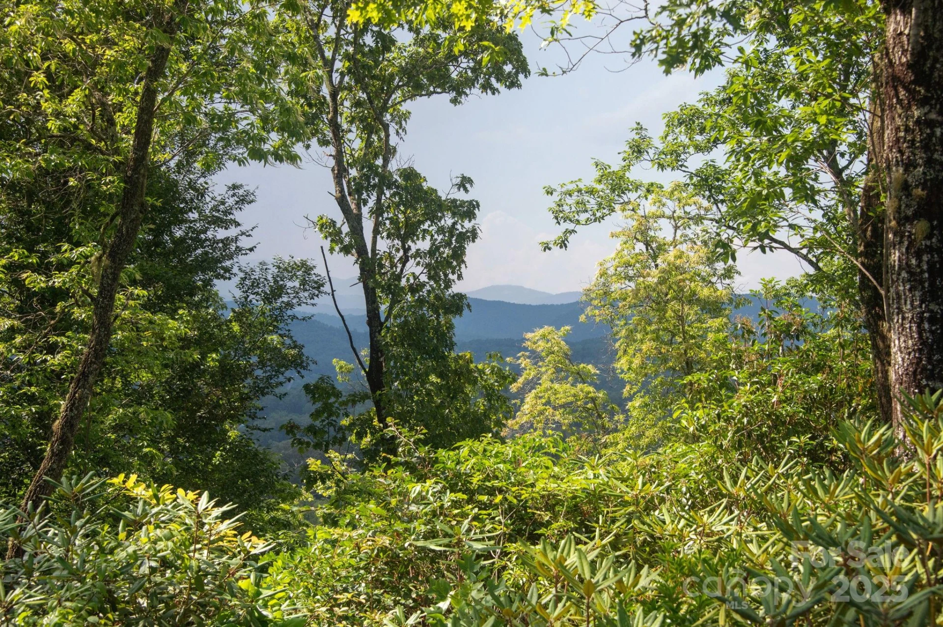 Lot # 7 Masterpiece View Drive - Photo 3
