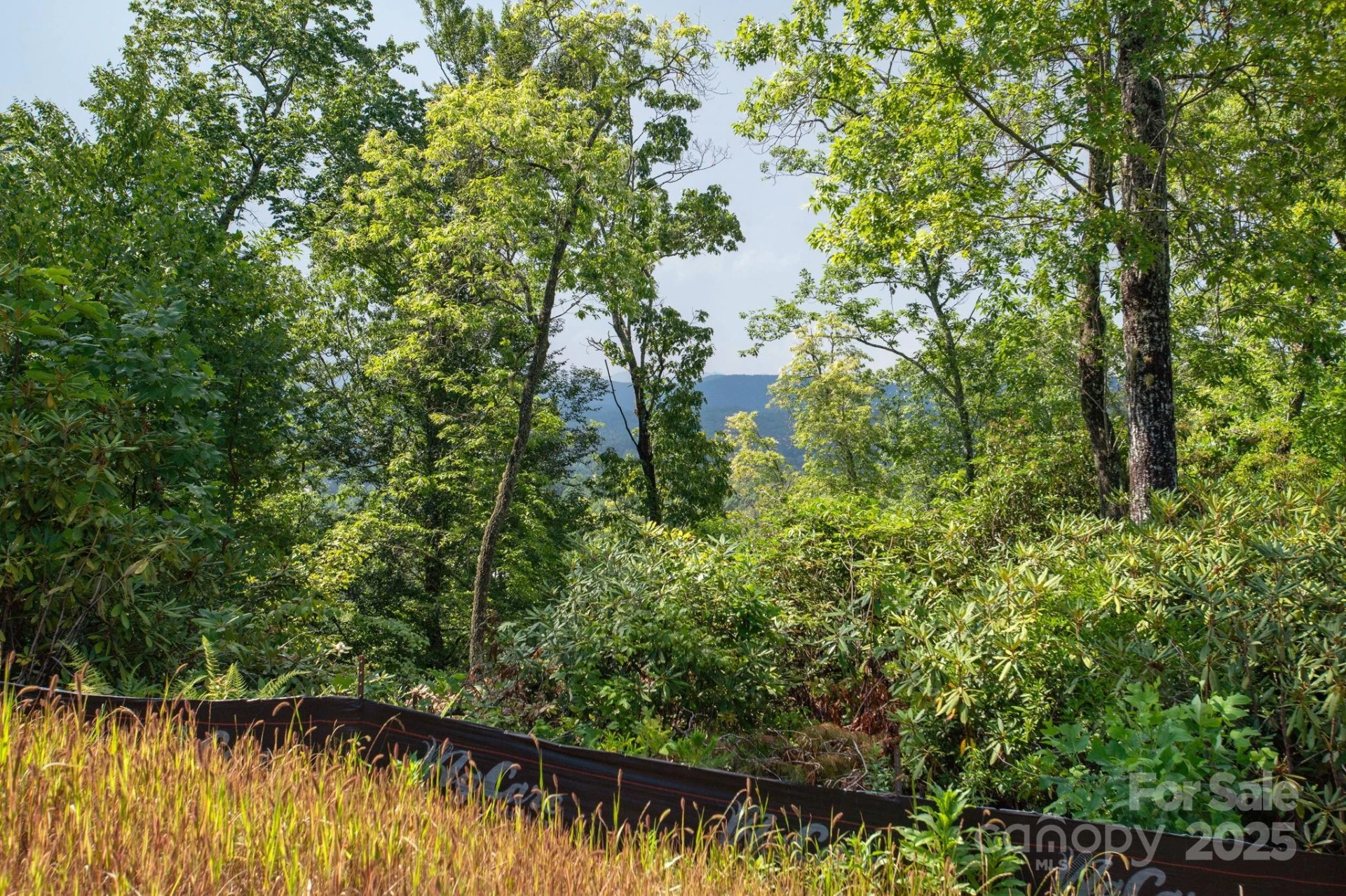 Lot # 7 Masterpiece View Drive - Photo 4