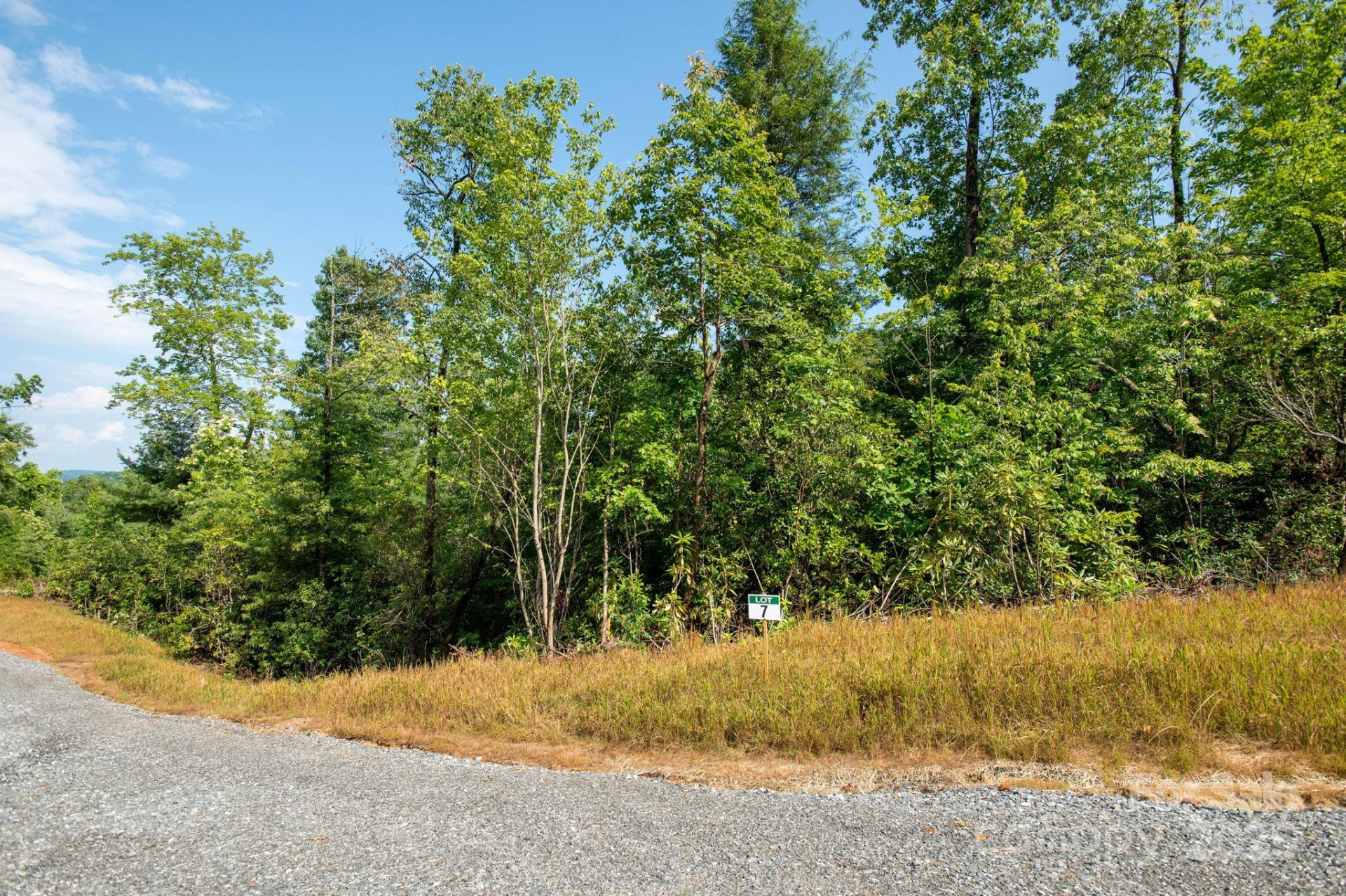 Lot # 7 Masterpiece View Drive - Photo 5