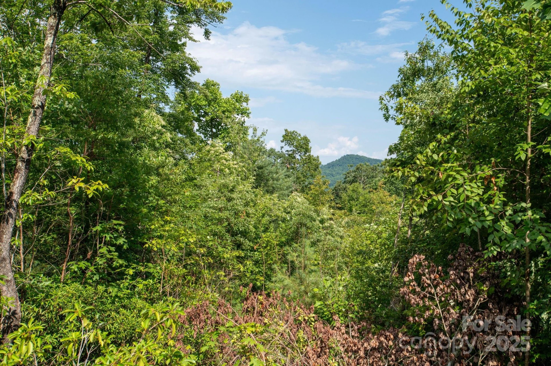 Lot # 7 Masterpiece View Drive - Photo 8