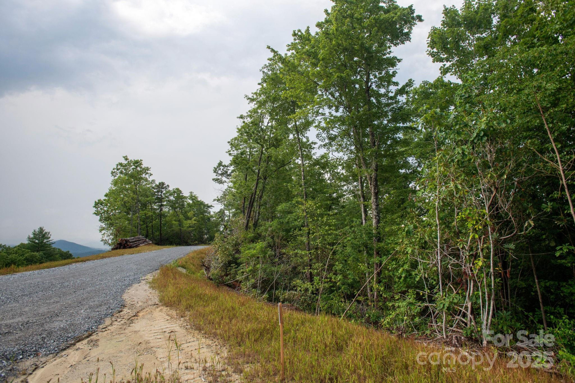 Lot # 8 Masterpiece View Drive #8 - Photo 4