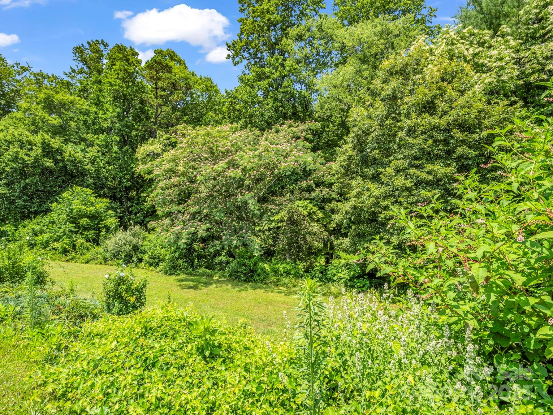 14 Monte Vista Place - Photo 38