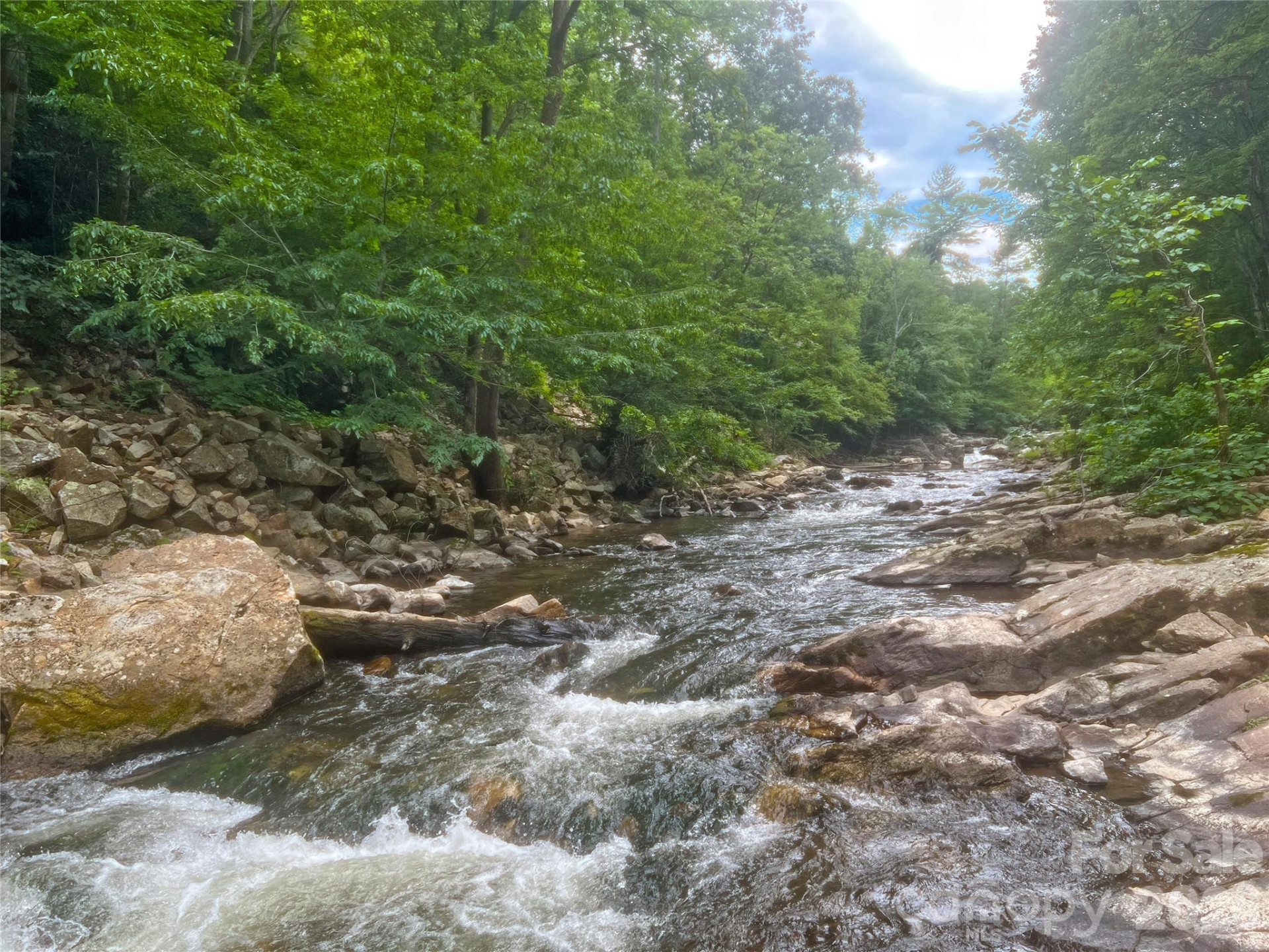 257 Henderson Drive - Photo 4