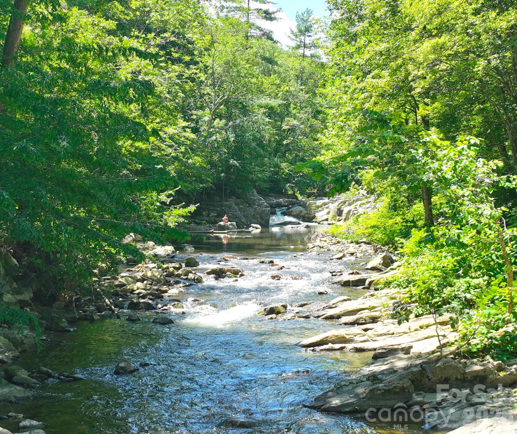 257 Henderson Drive - Photo 41