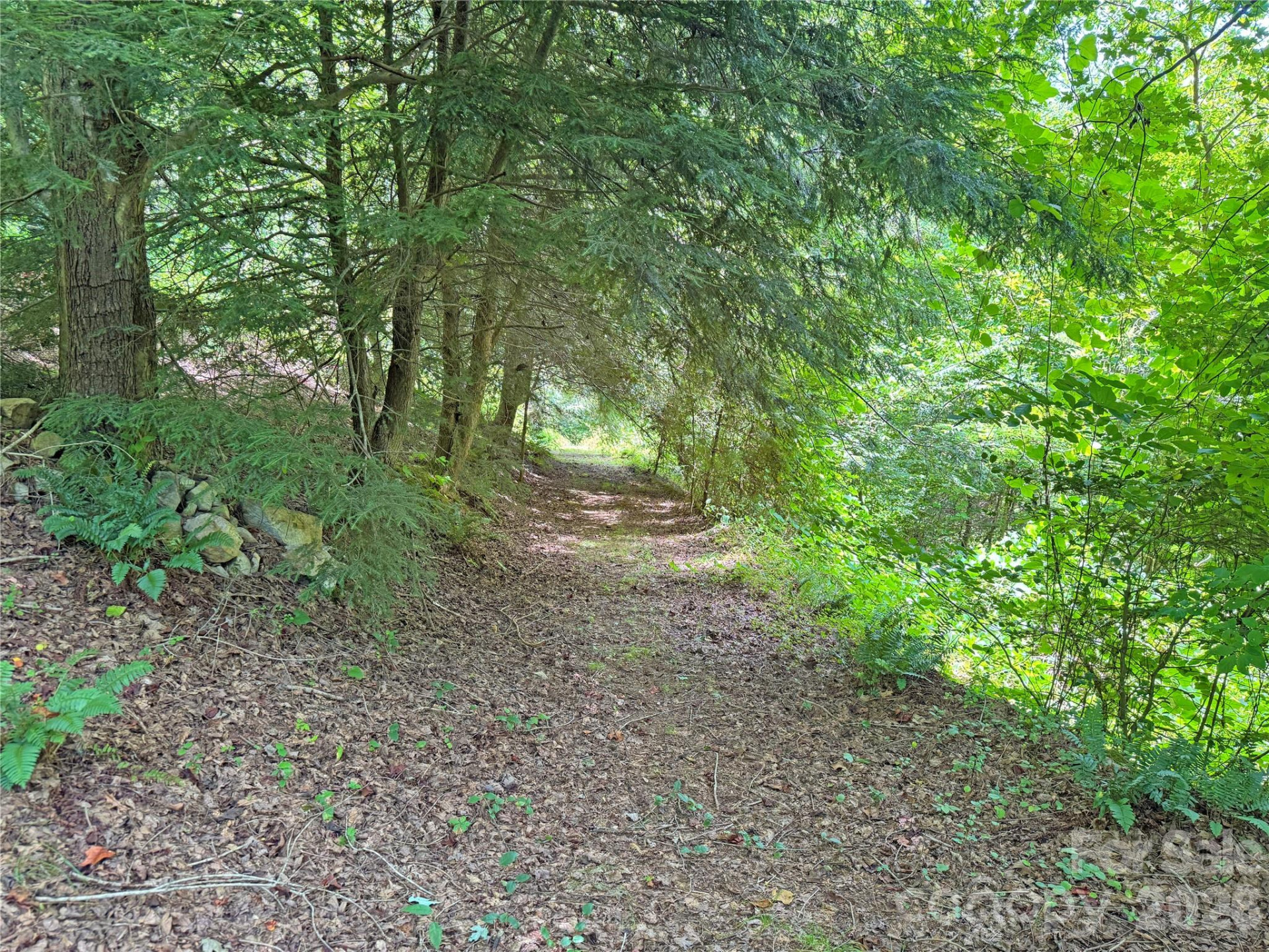 257 Henderson Drive - Photo 47