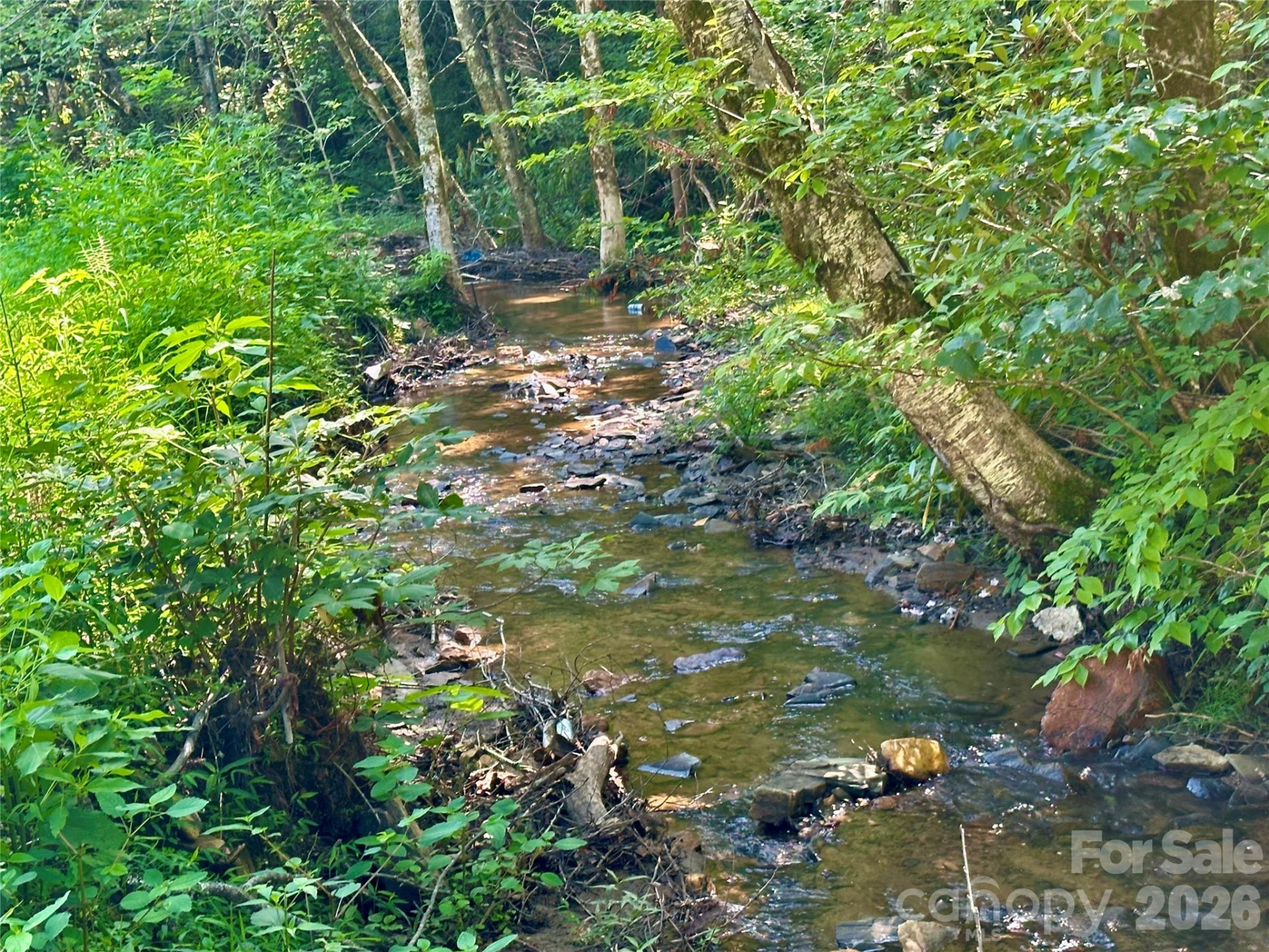 492 Chestnut Mountain Road - Photo 20