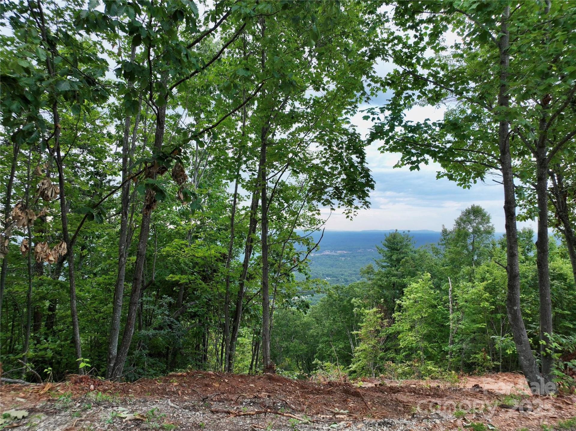 3791 Mountain Vista Drive #26 - Photo 3