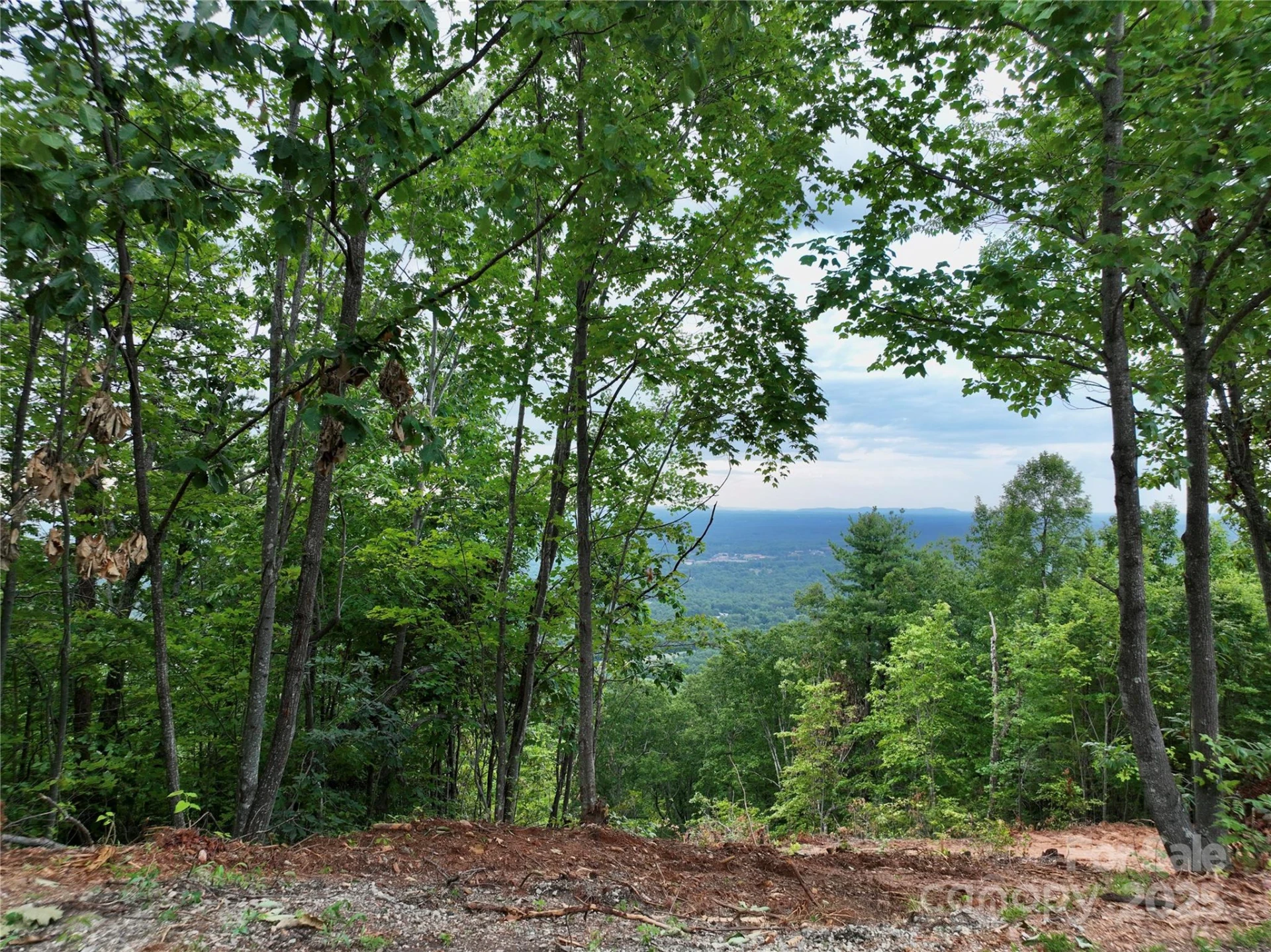 3791 Mountain Vista Drive #26 - Photo 3