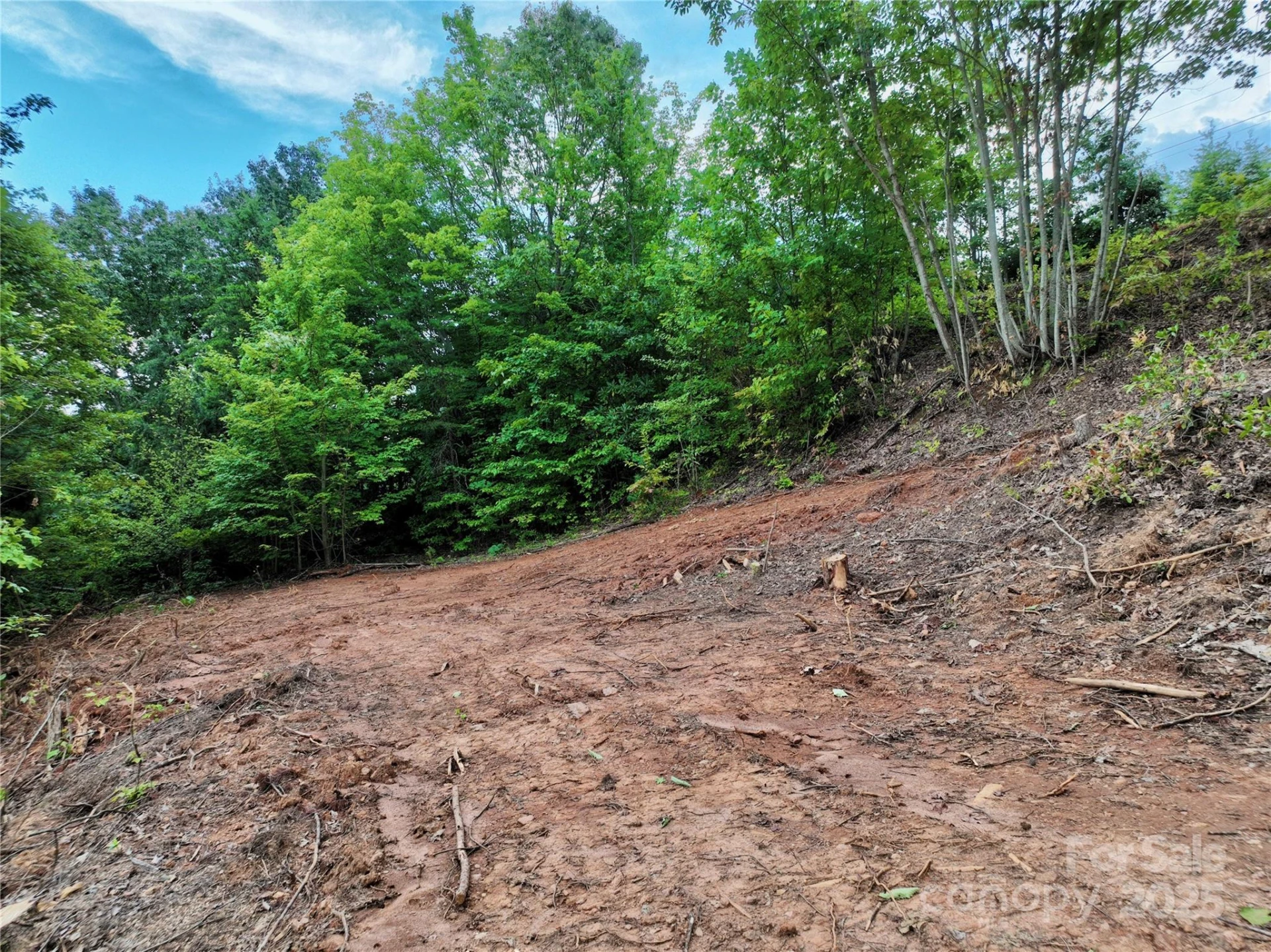3791 Mountain Vista Drive #26 - Photo 5