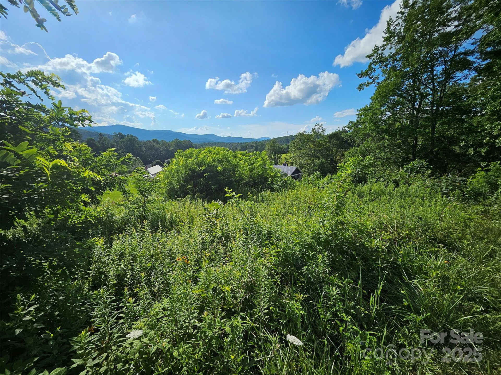 0 Shangrila Trail - Photo 19