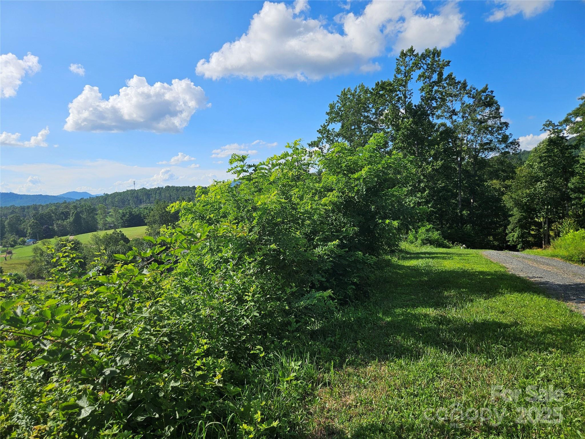 0 Shangrila Trail - Photo 20