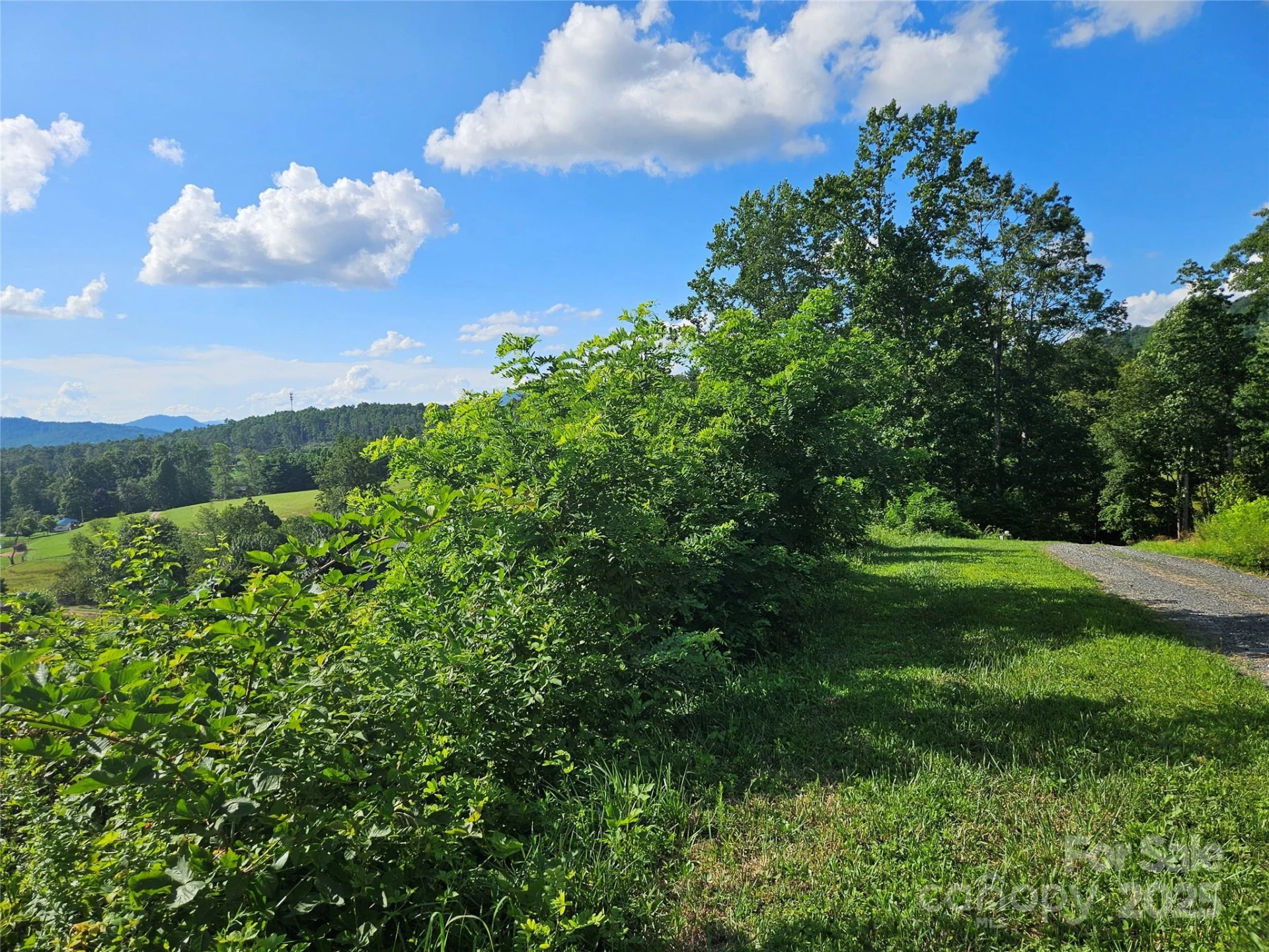 0 Shangrila Trail - Photo 20