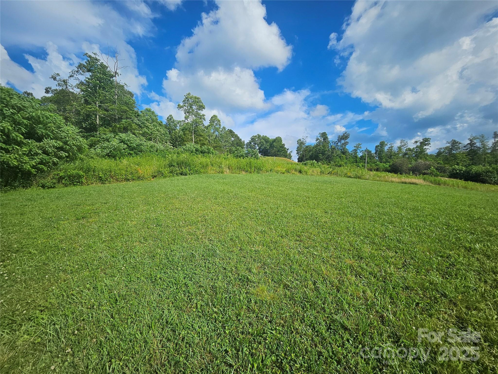 0 Shangrila Trail - Photo 6