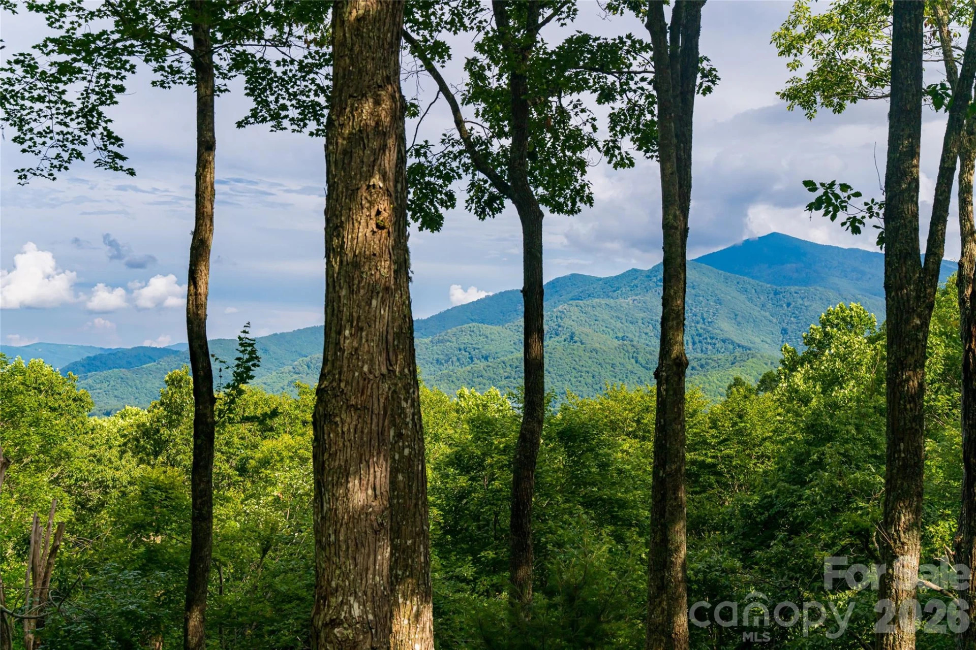 163 Tweetys Knoll - Photo 16