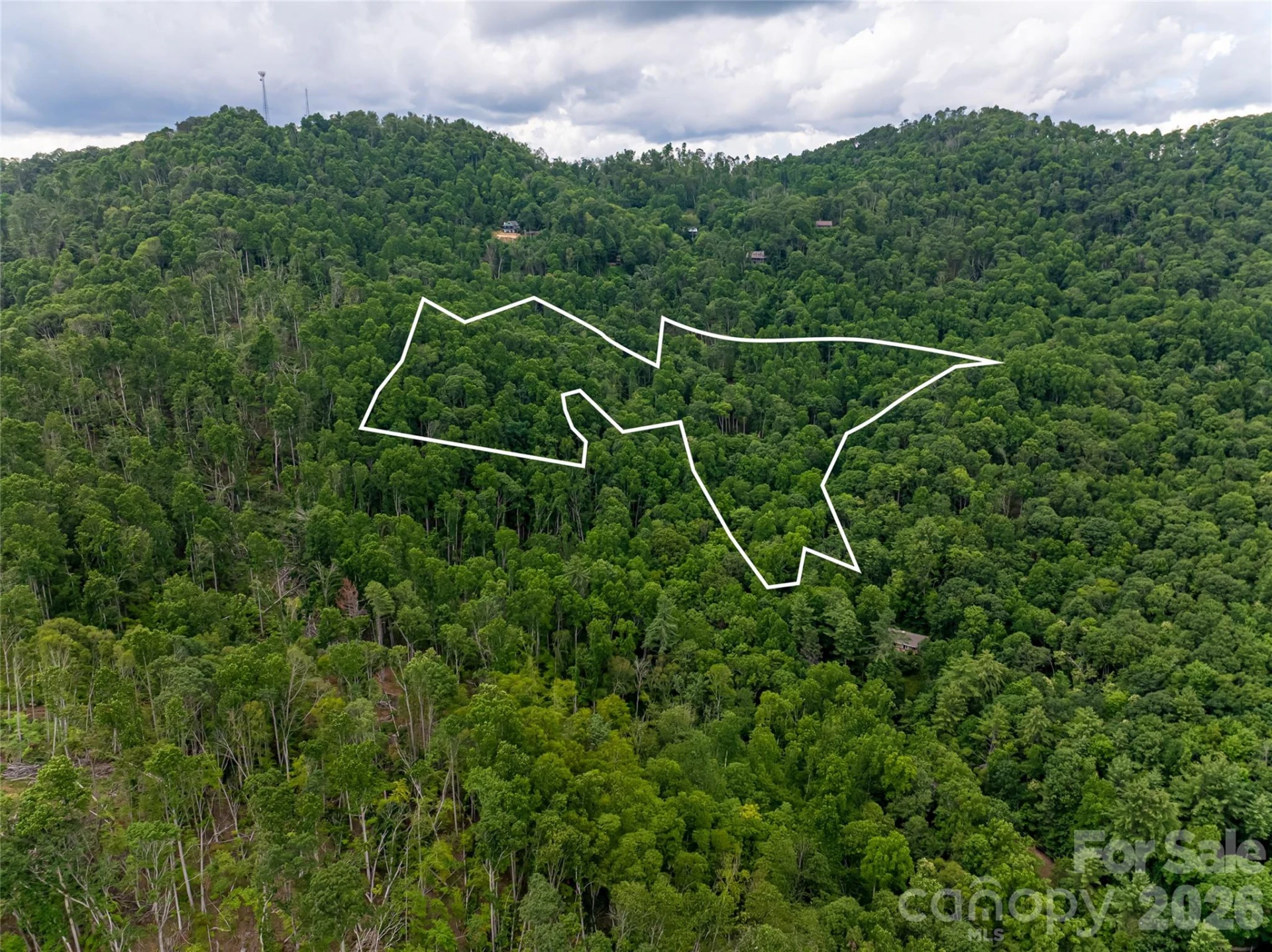 163 Tweetys Knoll - Photo 42