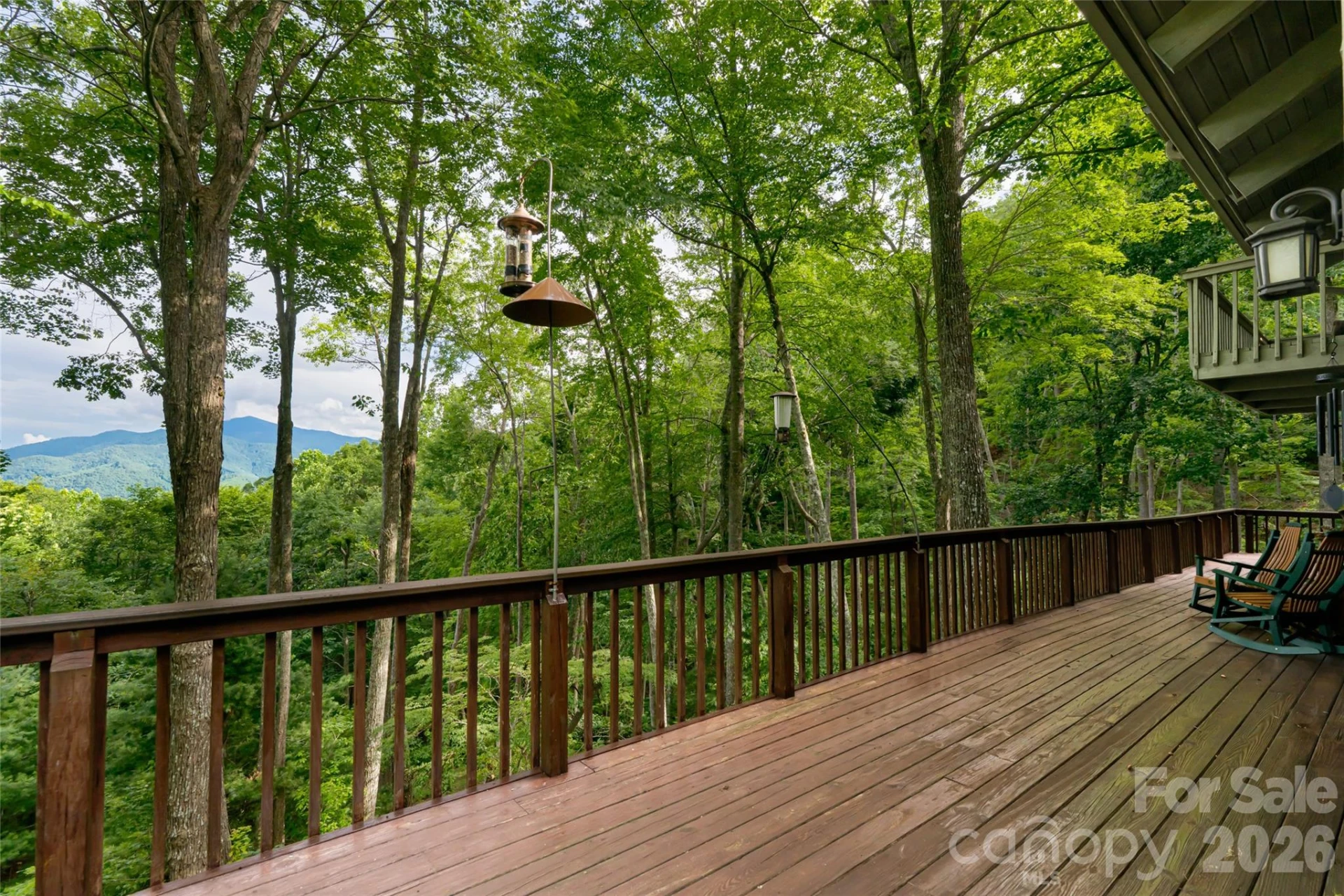 163 Tweetys Knoll - Photo 44