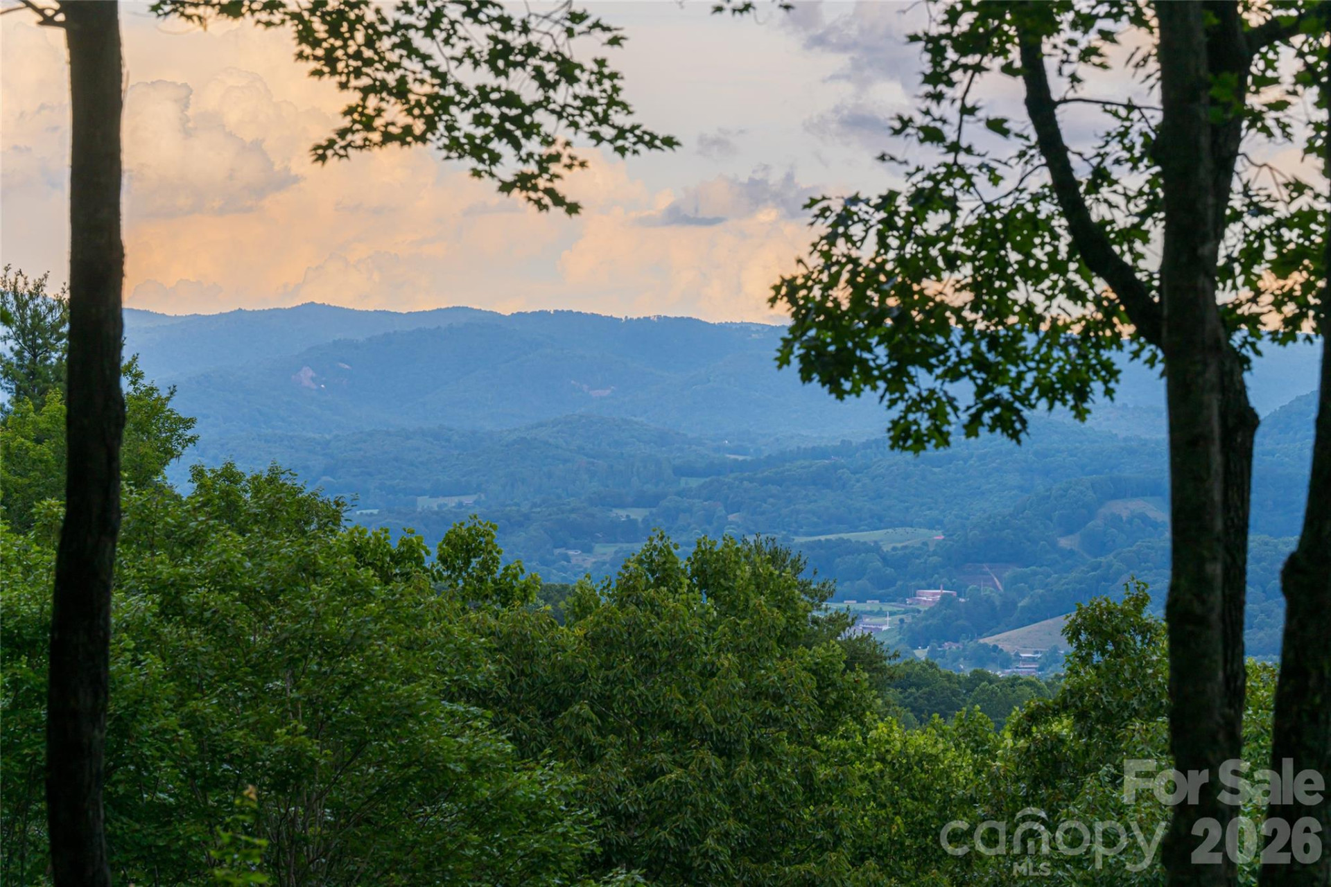 163 Tweetys Knoll - Photo 6