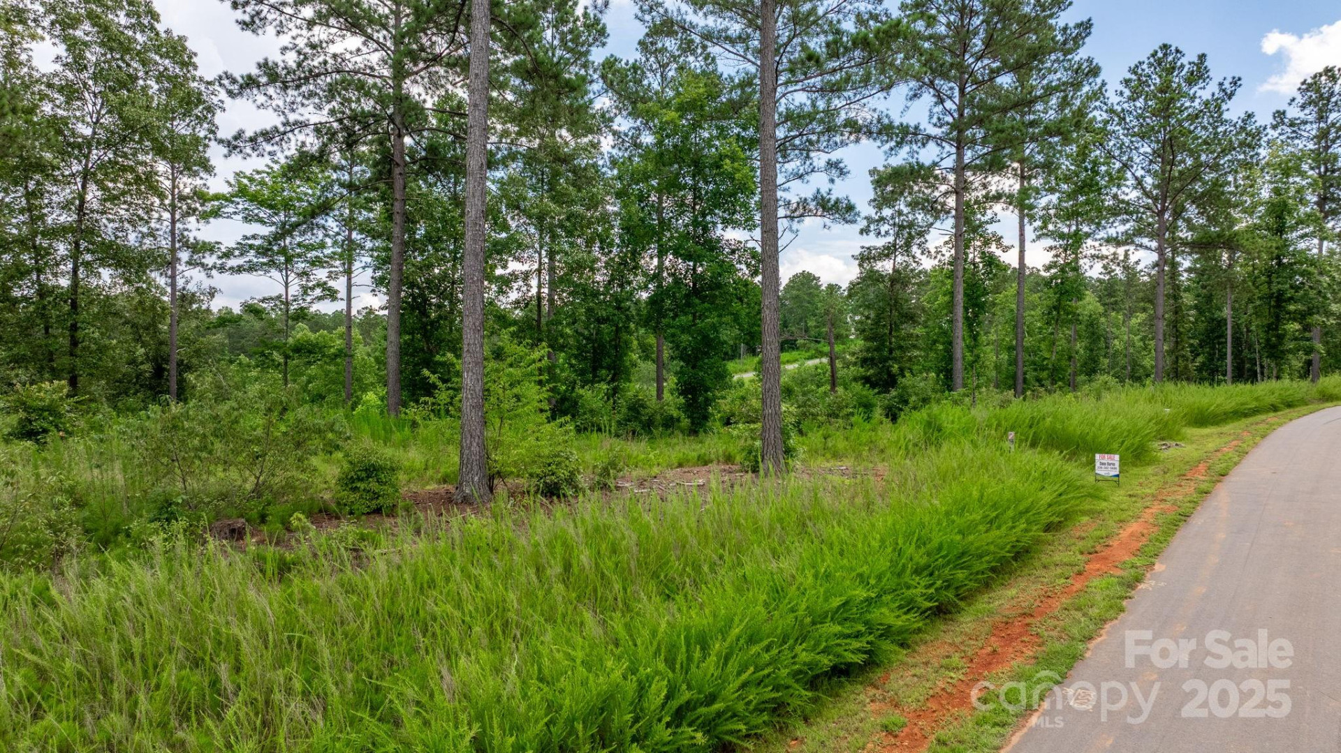 2194 Pikes Peak Ridge #156 - Photo 2