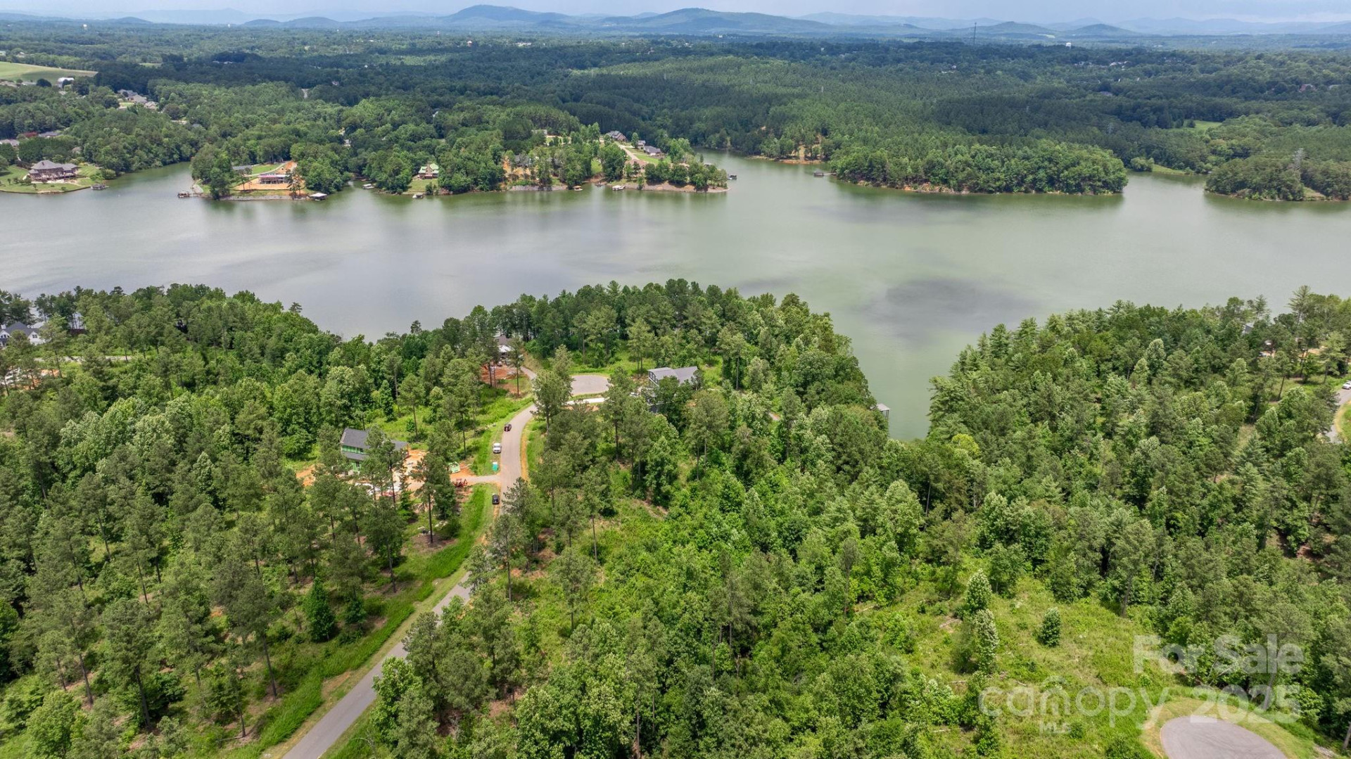 2194 Pikes Peak Ridge #156 - Photo 11