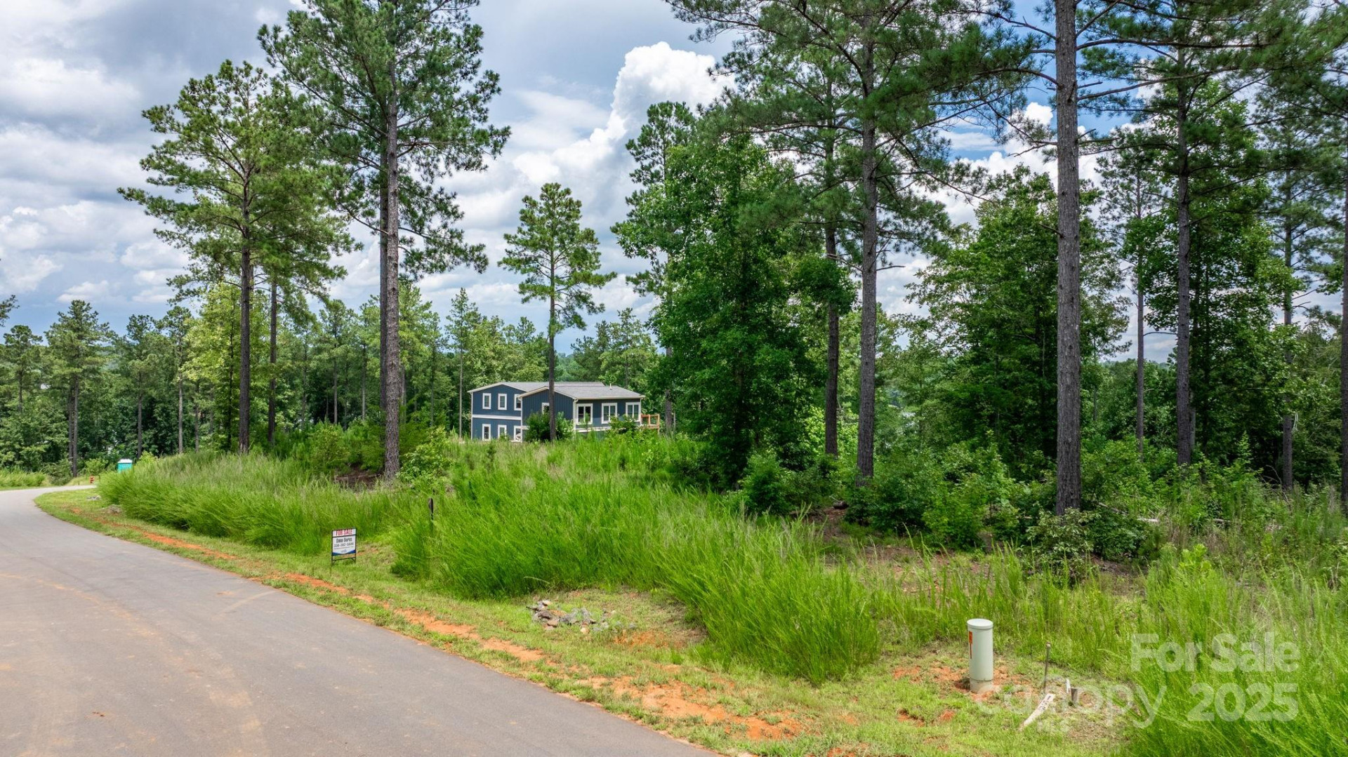 2194 Pikes Peak Ridge #156 - Photo 3