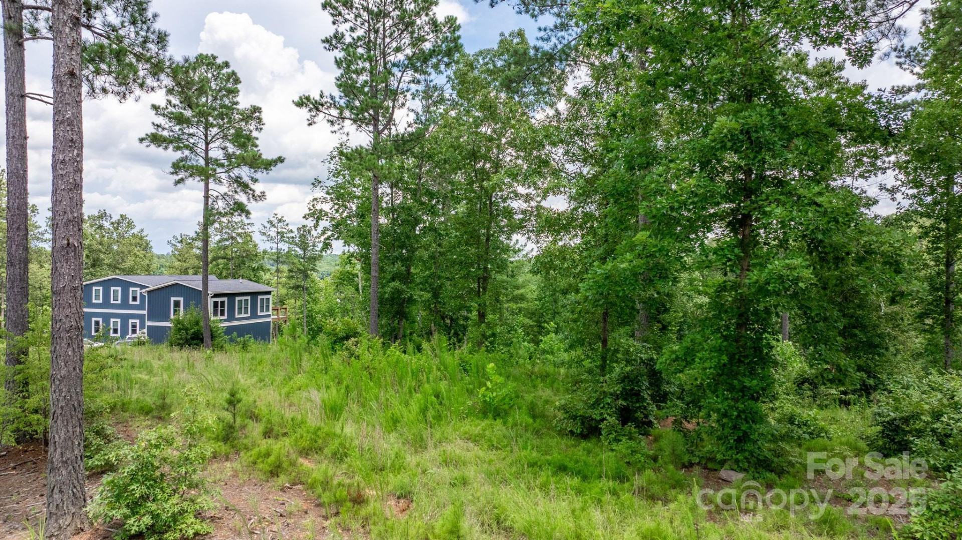 2194 Pikes Peak Ridge #156 - Photo 4