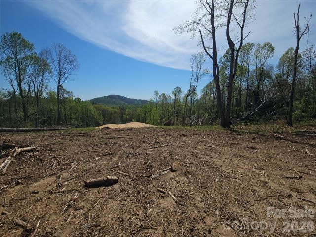 620 Dancing Bear Drive