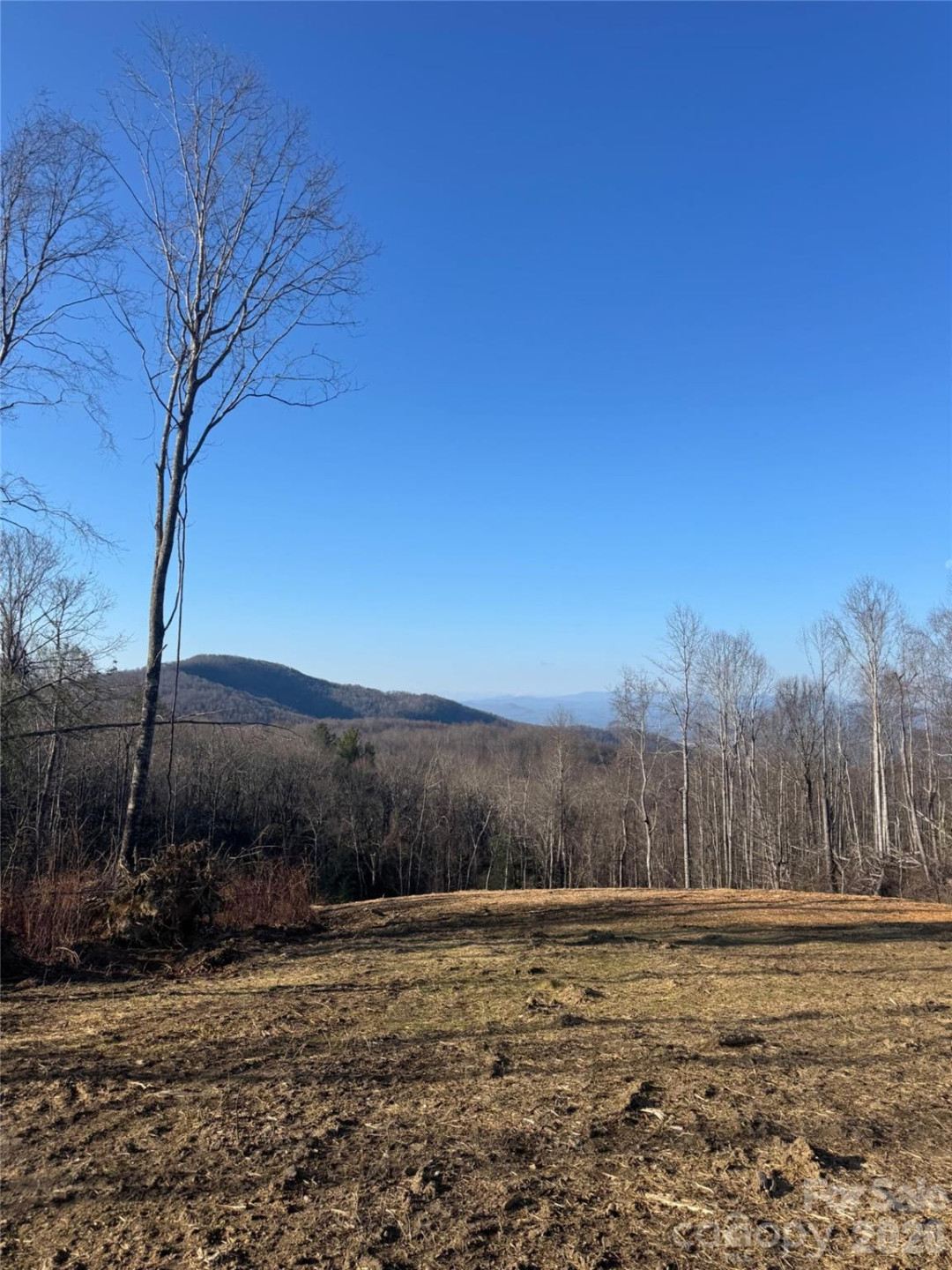 620 Dancing Bear Drive #195 - Photo 2