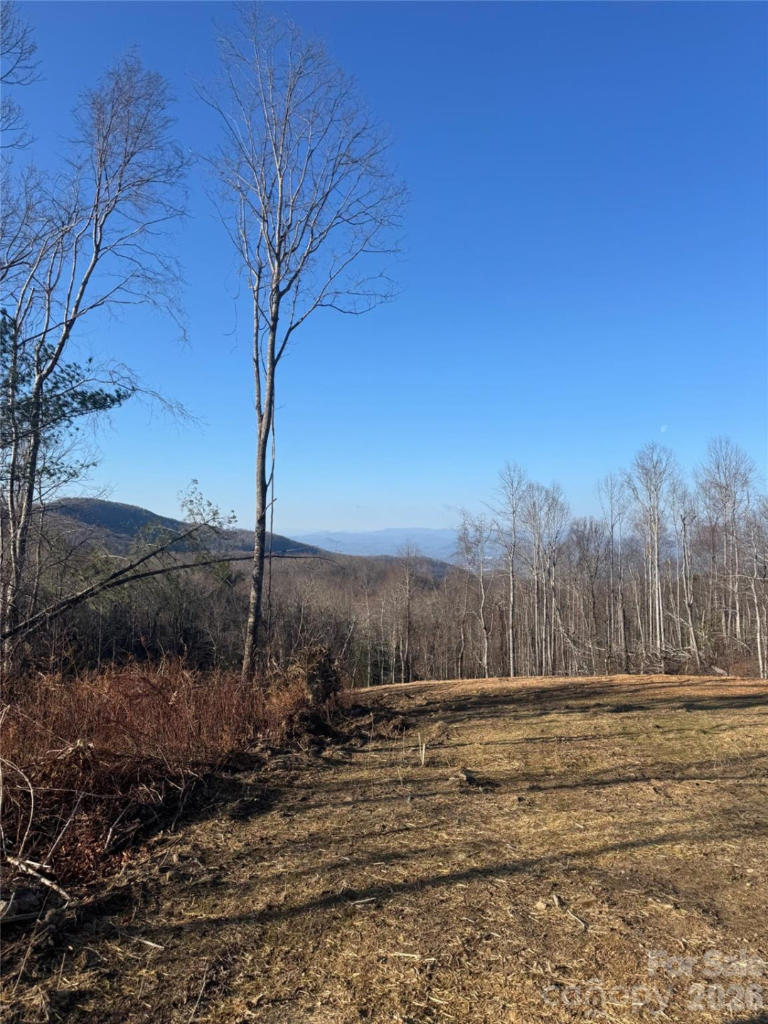 620 Dancing Bear Drive #195 - Photo 3