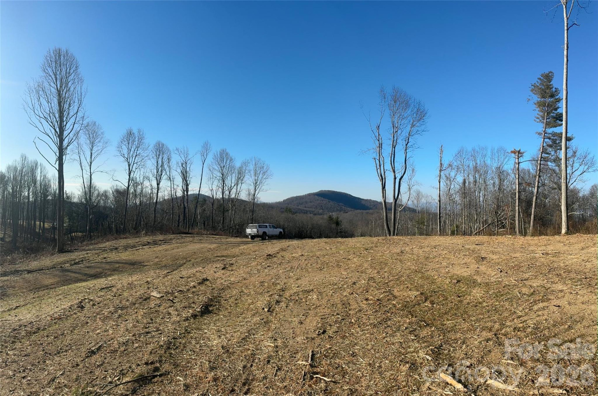 620 Dancing Bear Drive #195 - Photo 4