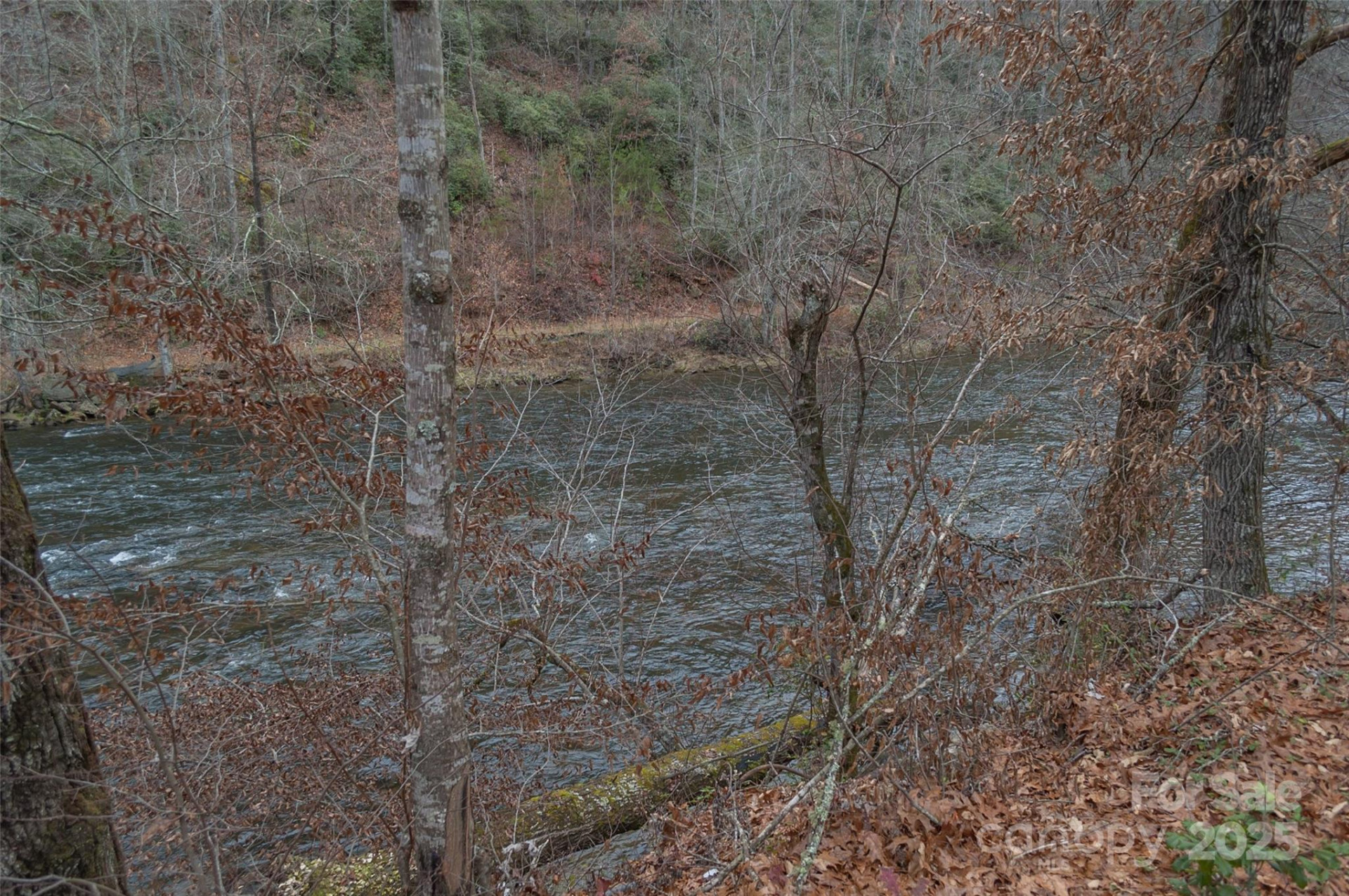0 Dillard Road - Photo 2