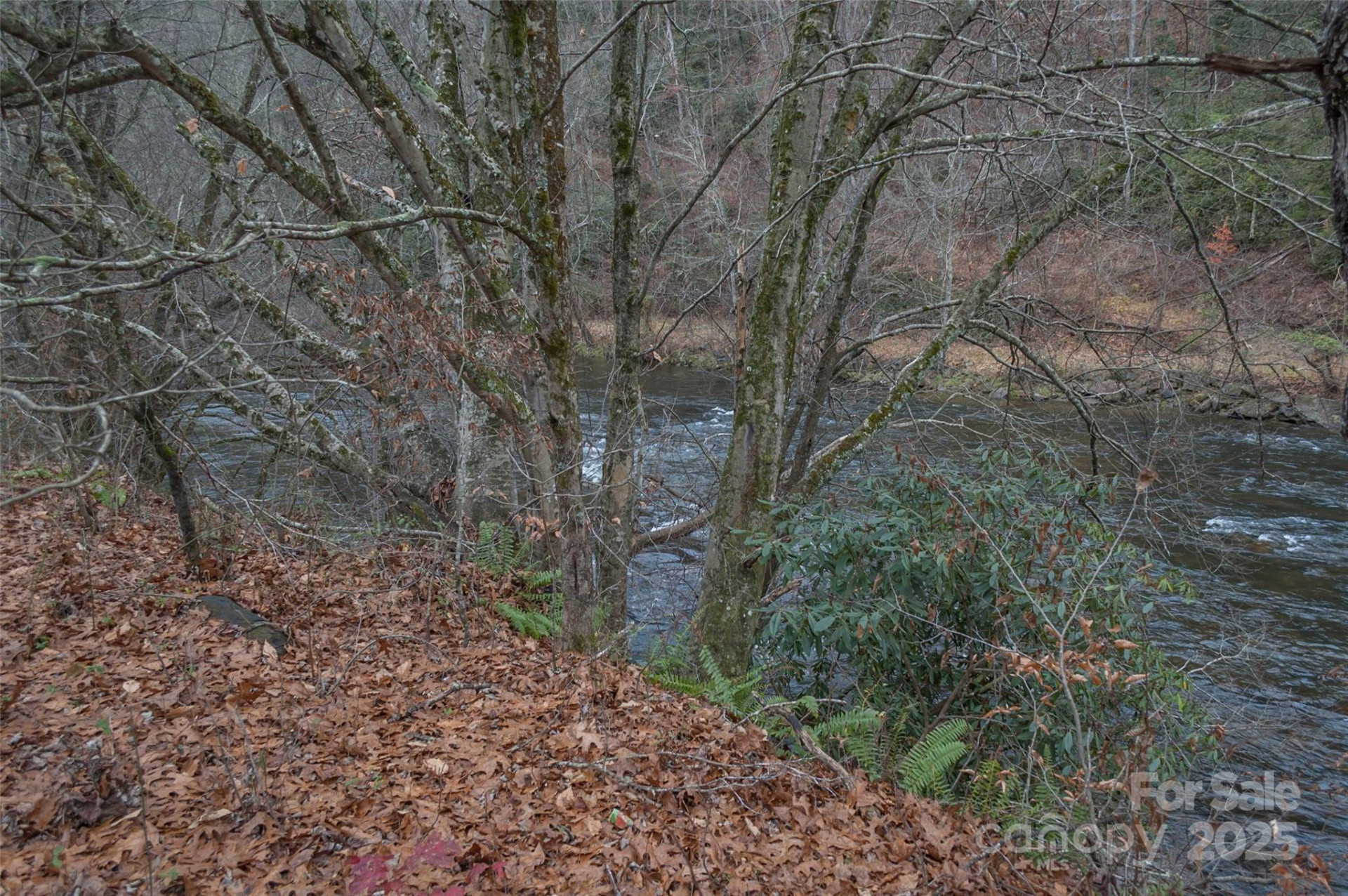 0 Dillard Road - Photo 13