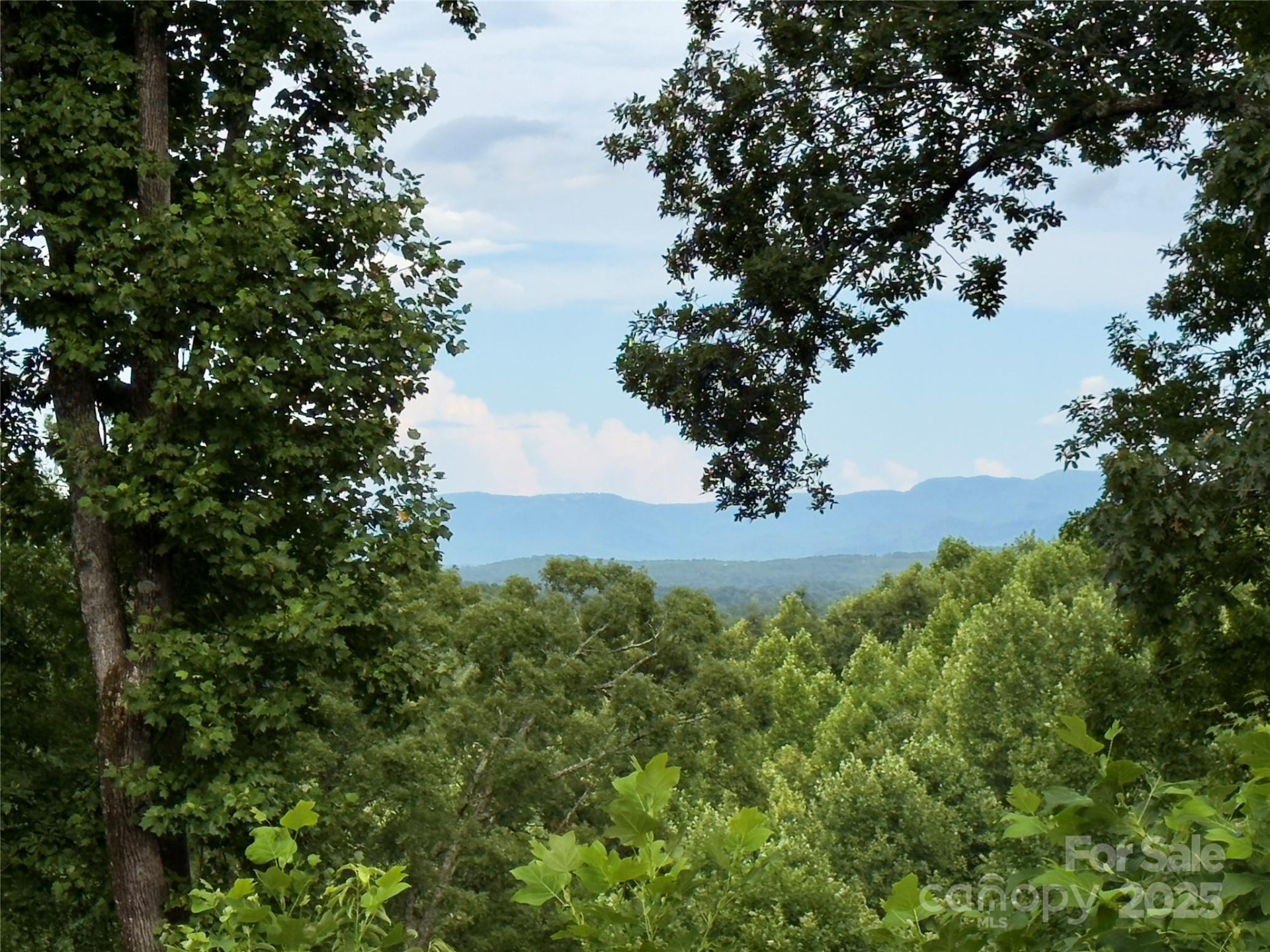 V/L Black Lark Drive #178