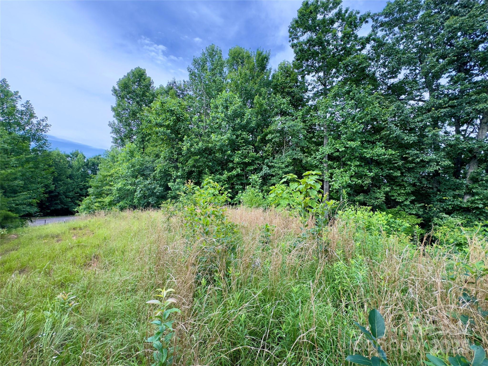 V/L Black Lark Drive #178 - Photo 11