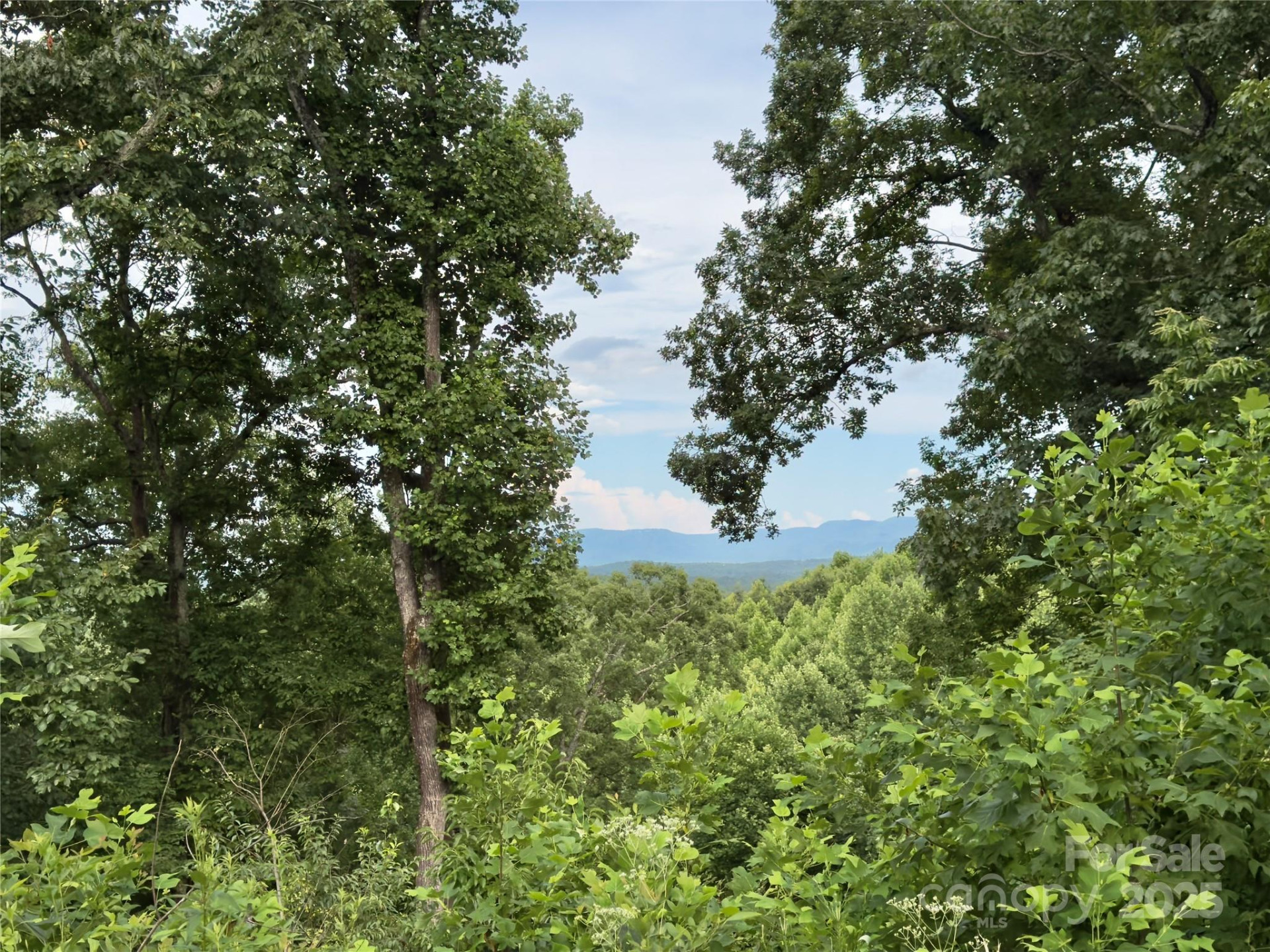 V/L Black Lark Drive #178 - Photo 12