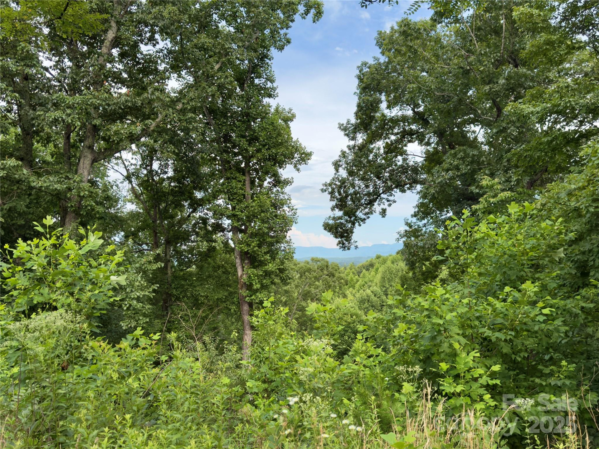 V/L Black Lark Drive #178 - Photo 13