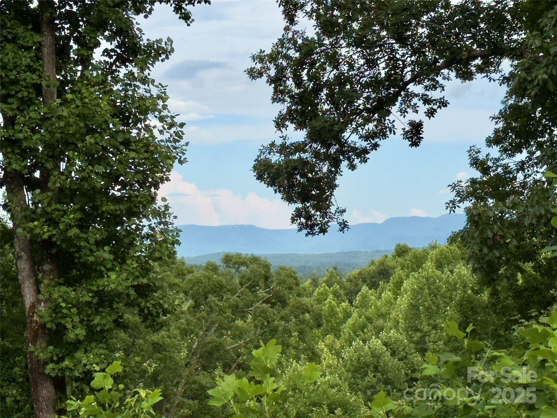 V/L Black Lark Drive #178 - Photo 14