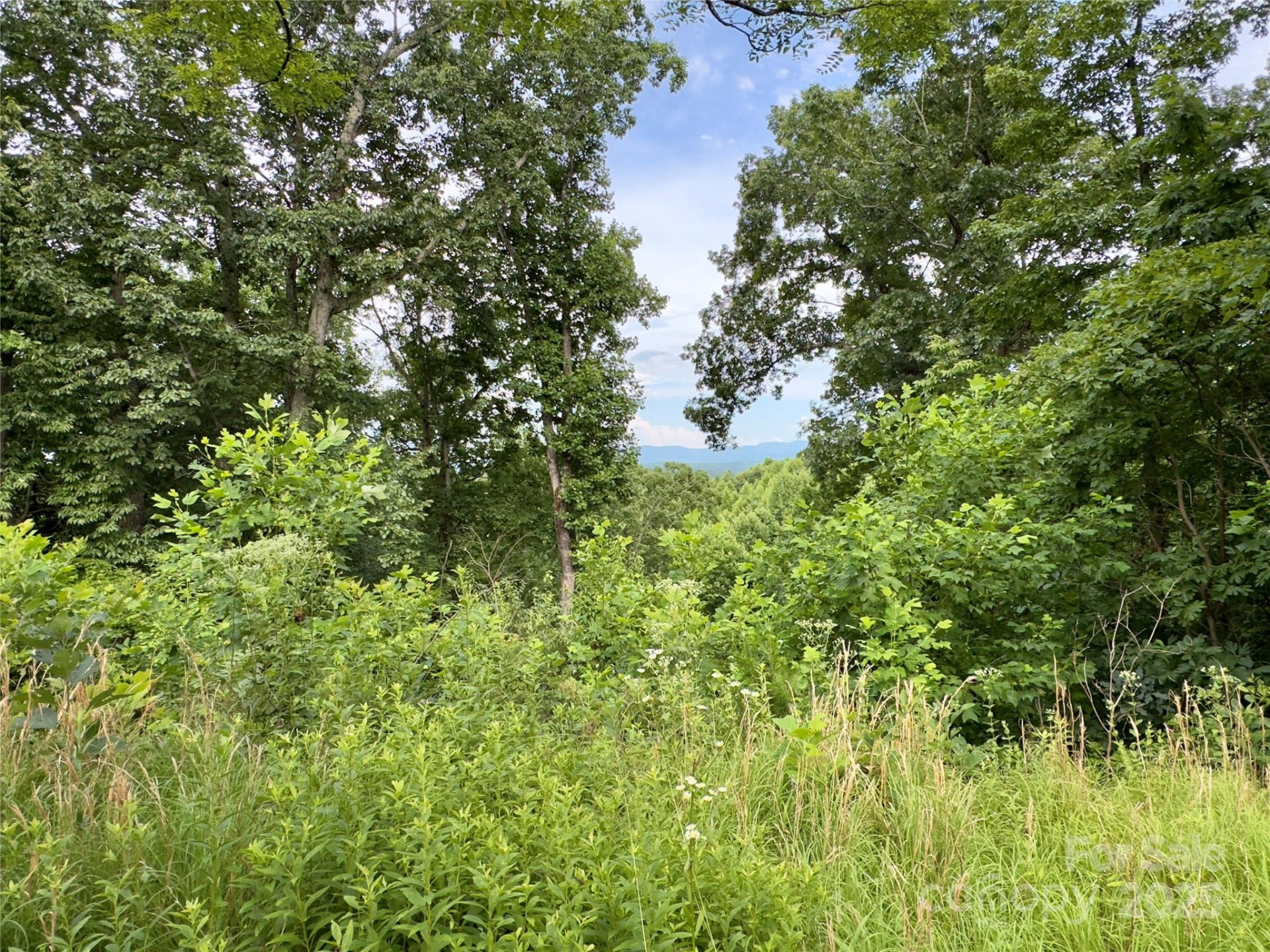 V/L Black Lark Drive #178 - Photo 15