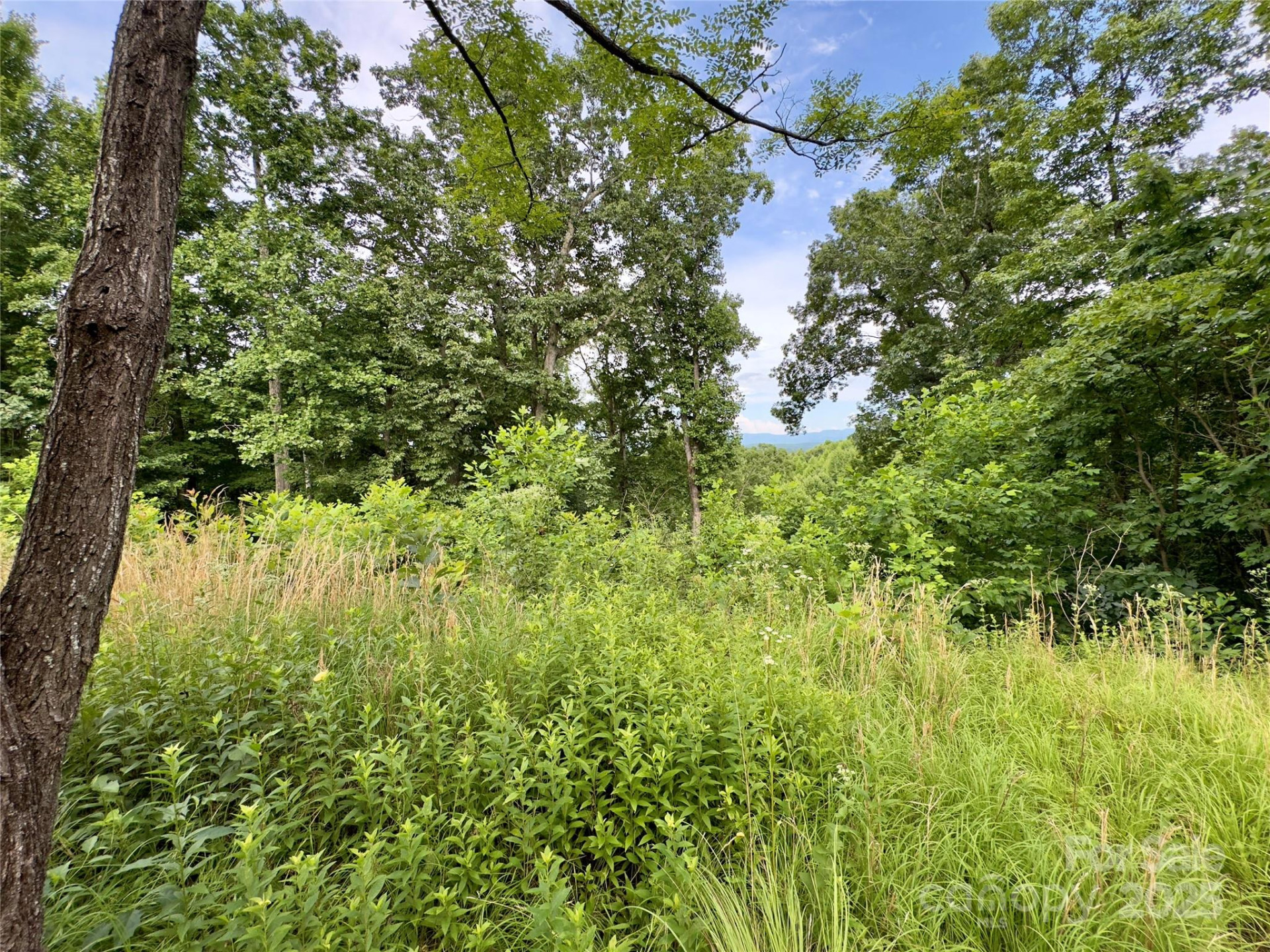 V/L Black Lark Drive #178 - Photo 16