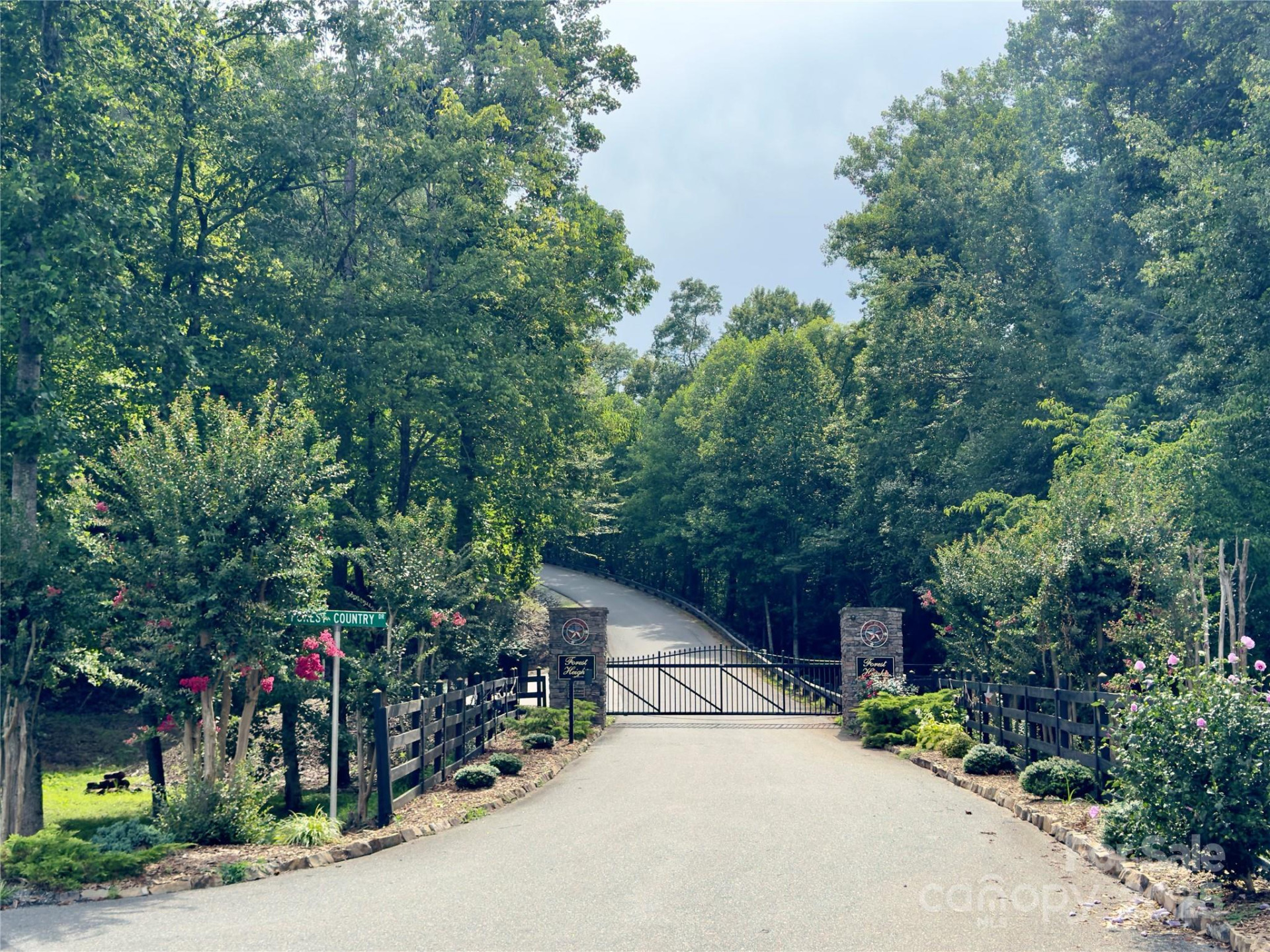 V/L Black Lark Drive #178 - Photo 17