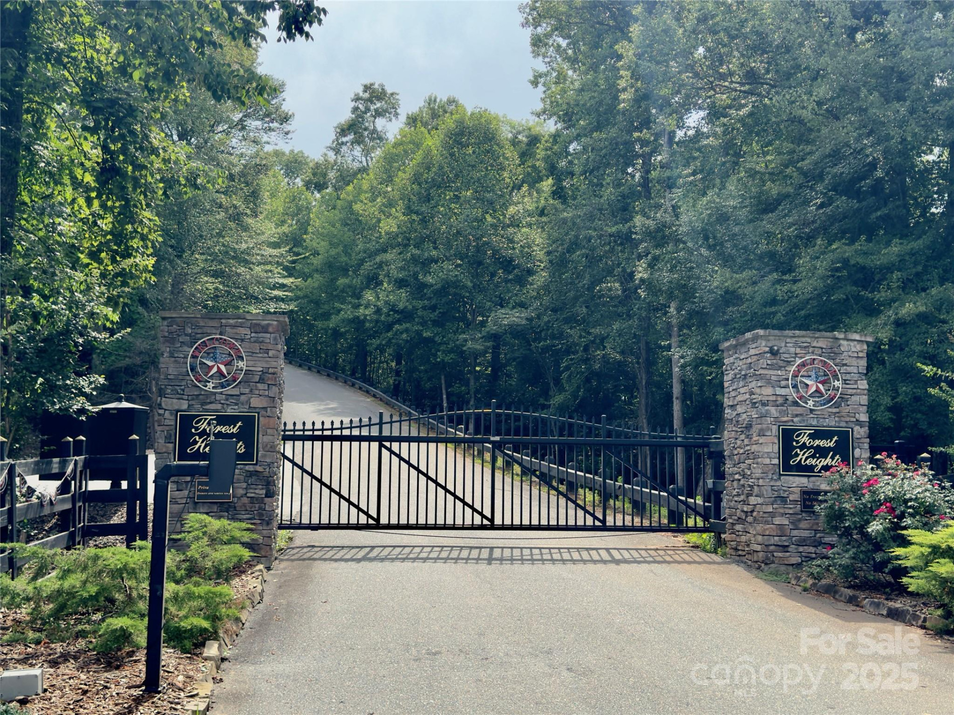 V/L Black Lark Drive #178 - Photo 18