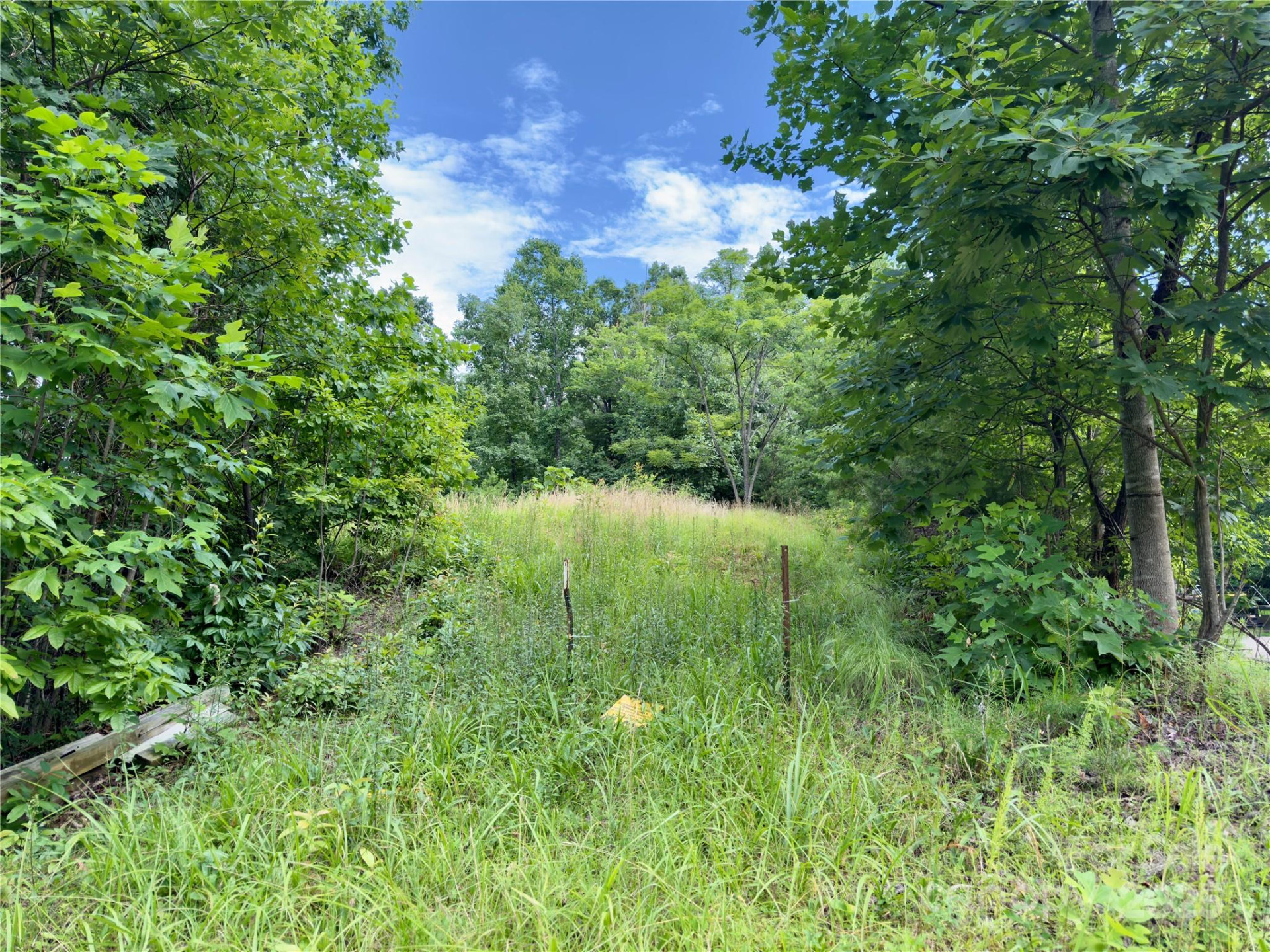 V/L Black Lark Drive #178 - Photo 3