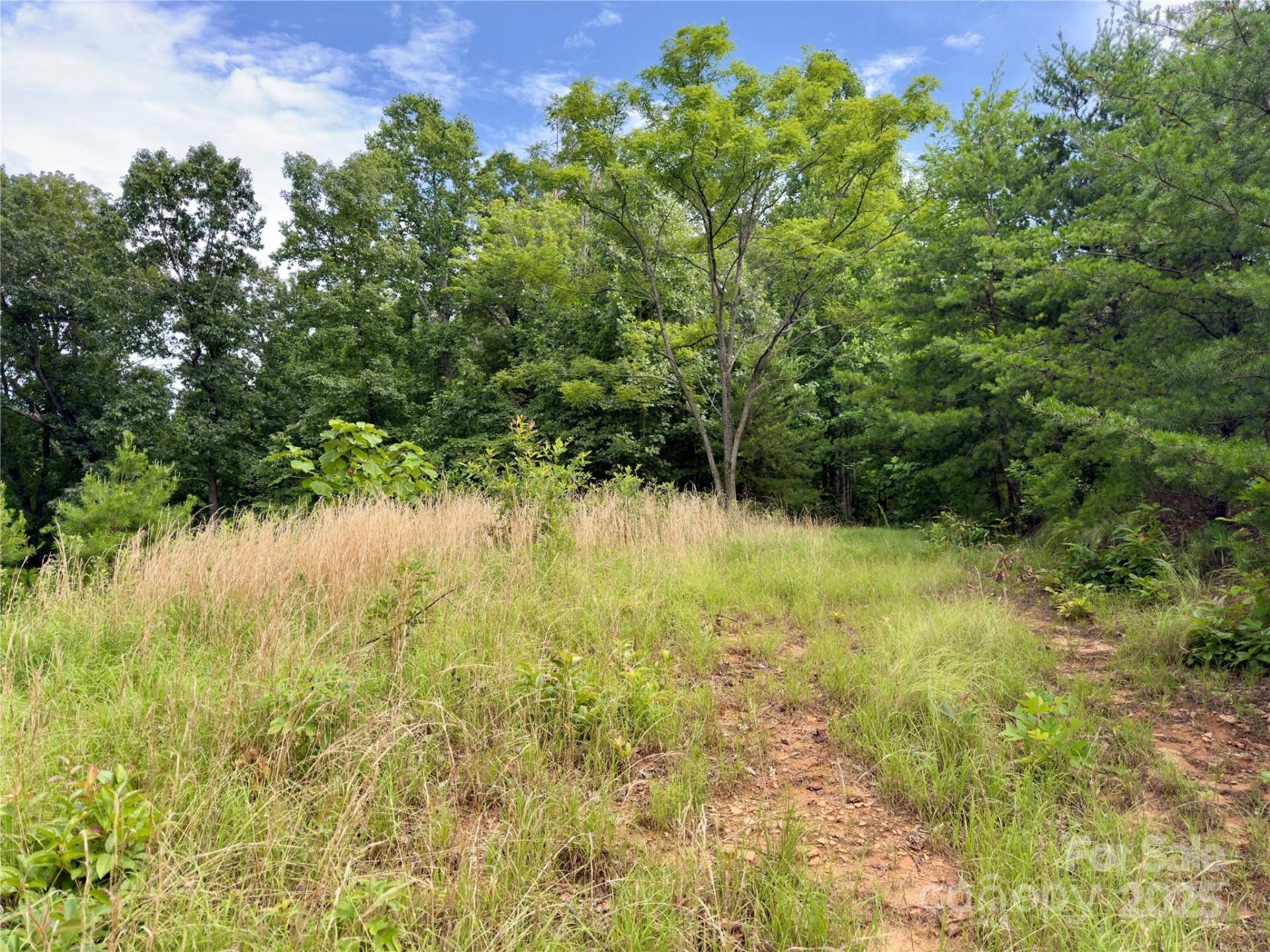 V/L Black Lark Drive #178 - Photo 4