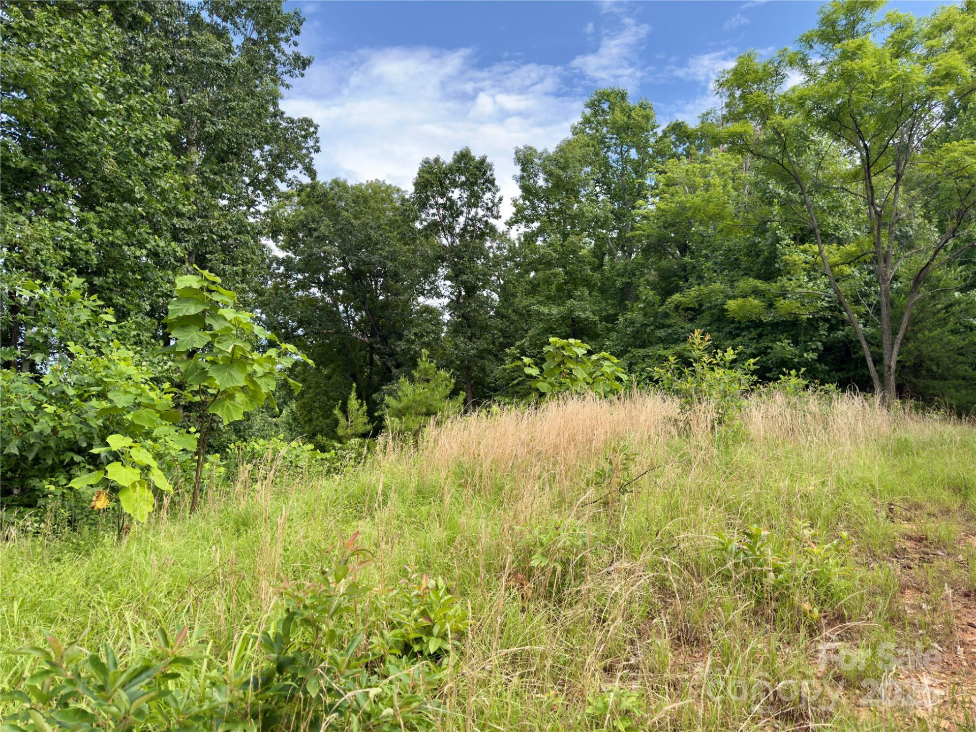 V/L Black Lark Drive #178 - Photo 5