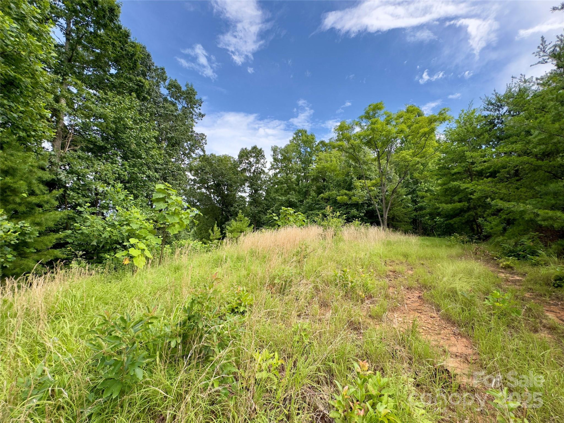 V/L Black Lark Drive #178 - Photo 6