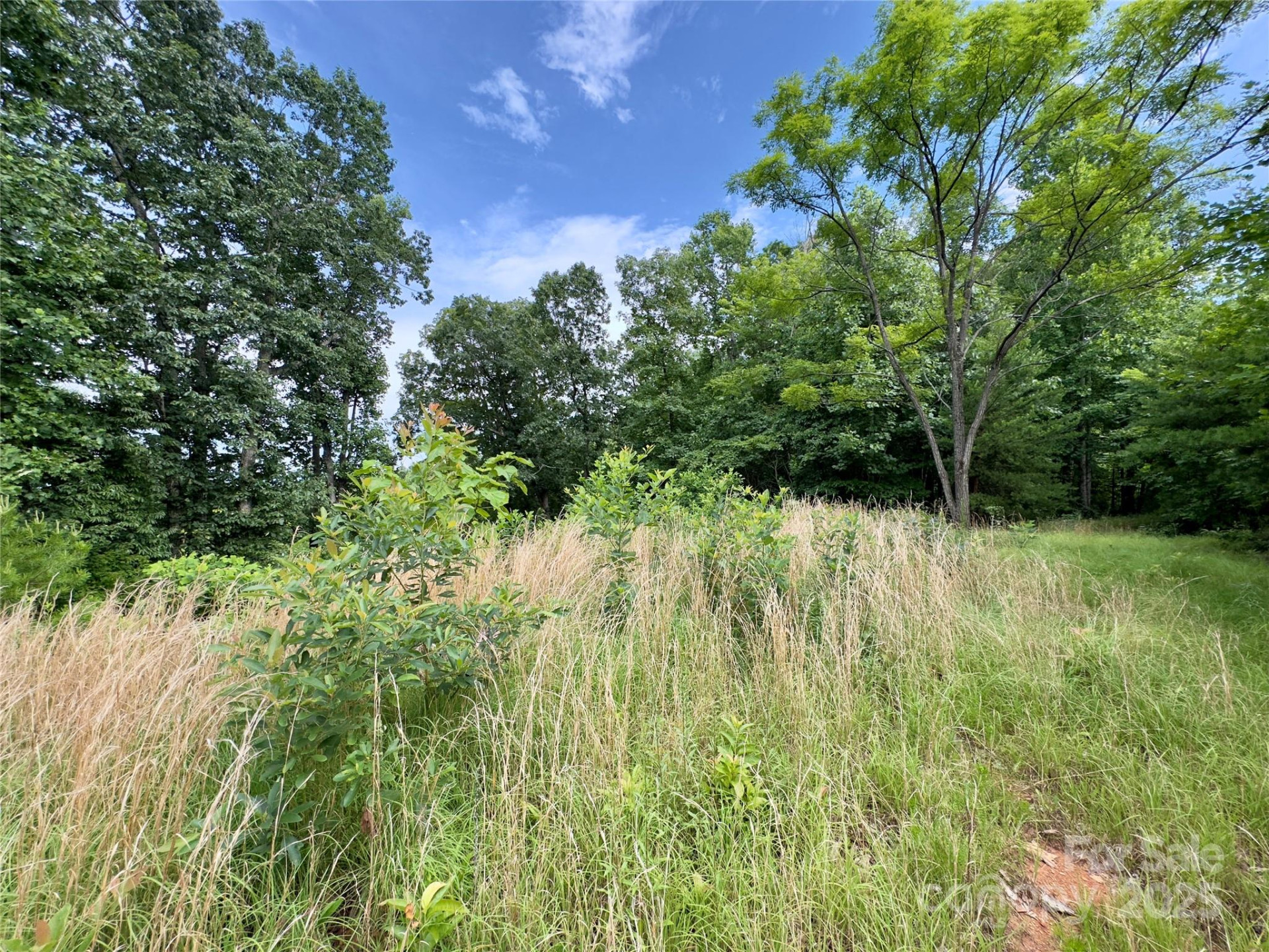 V/L Black Lark Drive #178 - Photo 7