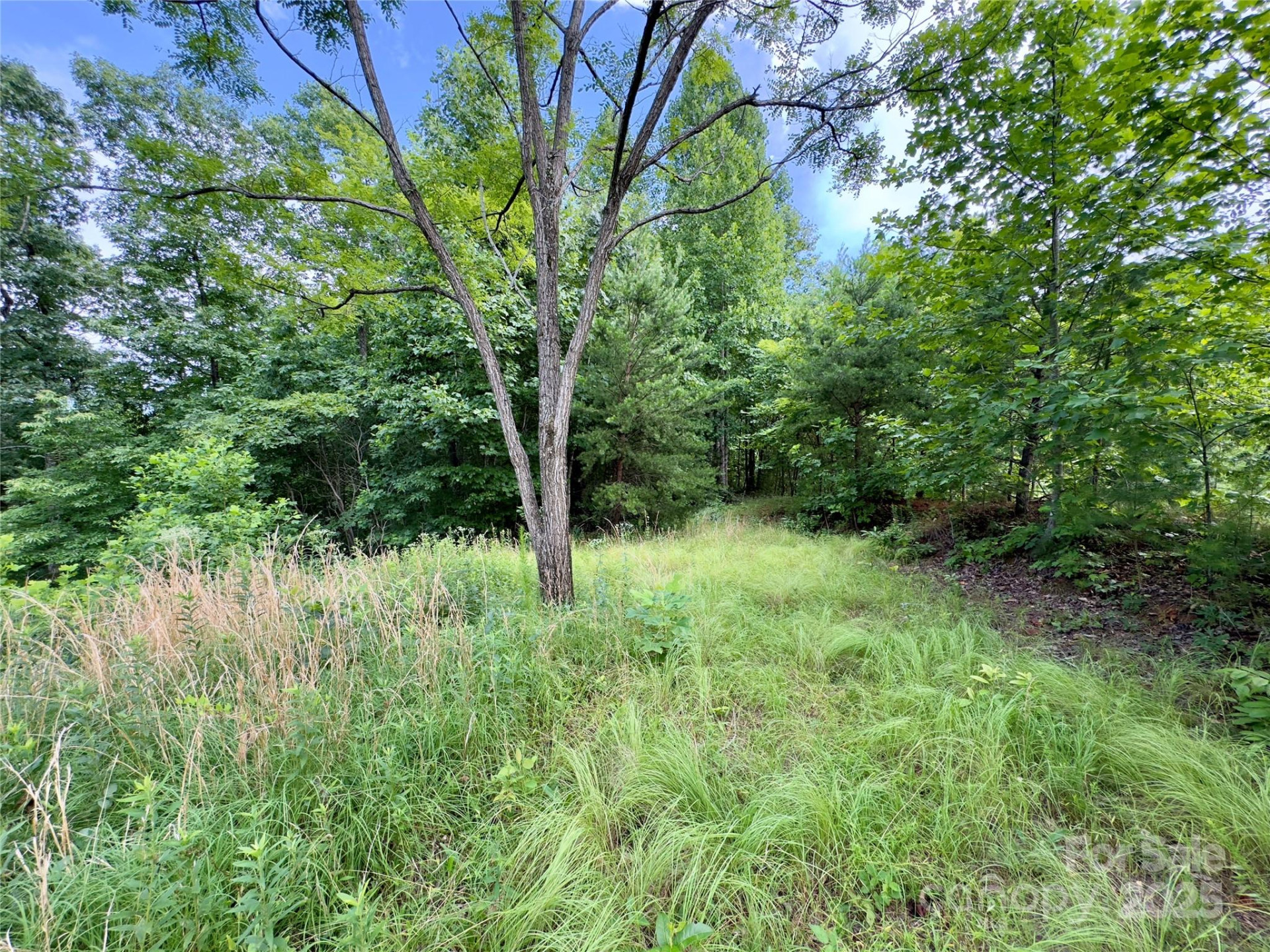 V/L Black Lark Drive #178 - Photo 8