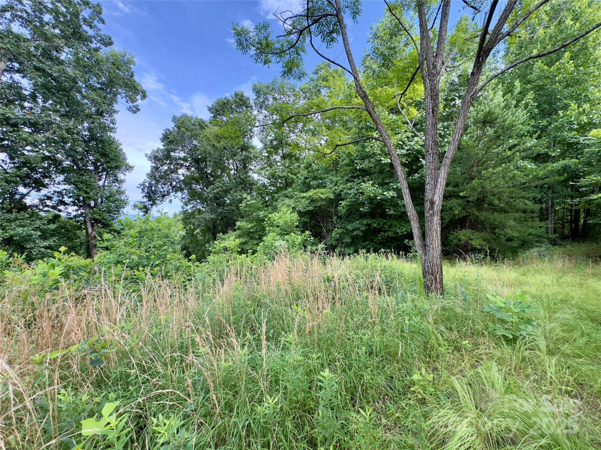 V/L Black Lark Drive #178 - Photo 9