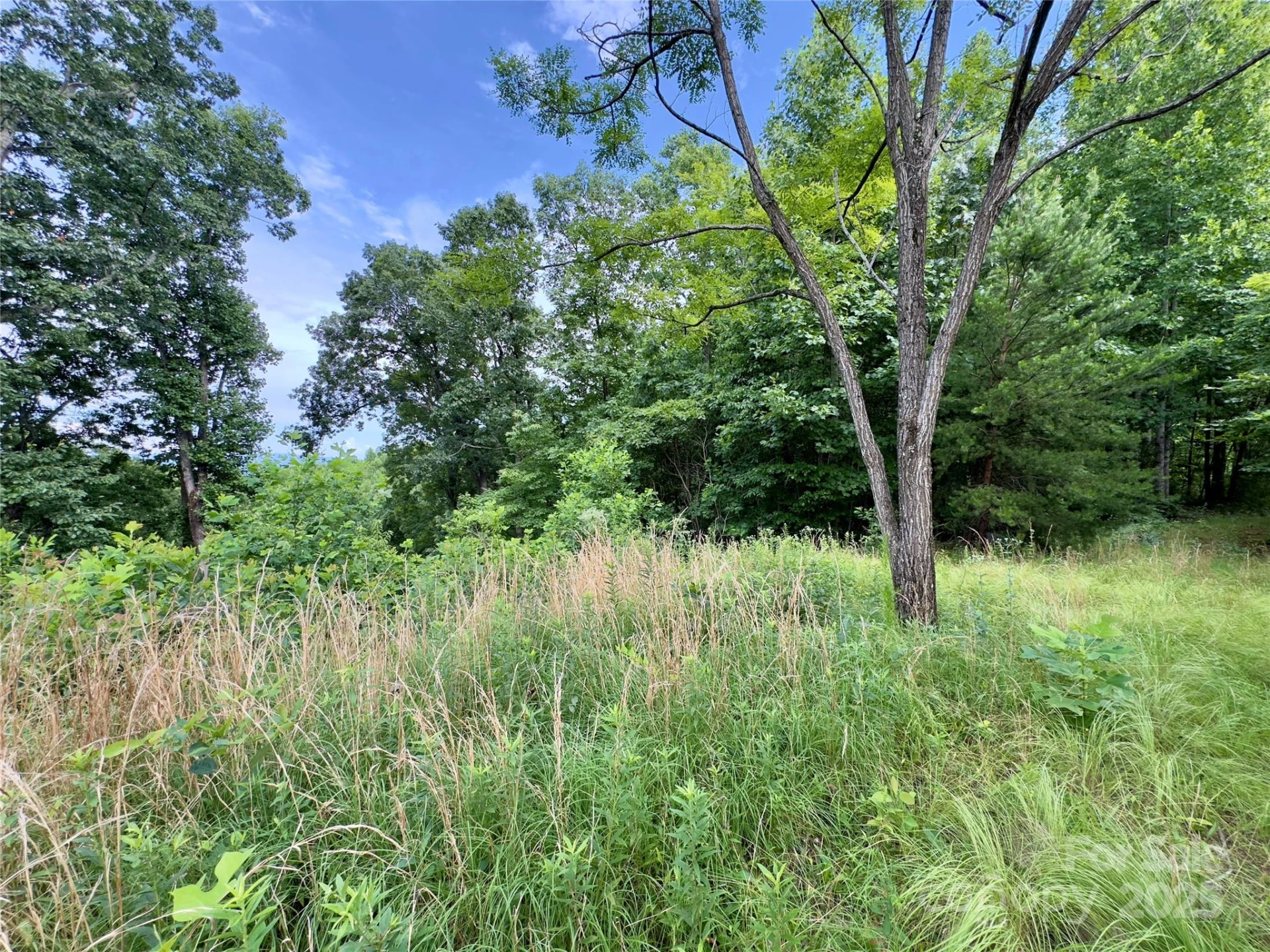 V/L Black Lark Drive #178 - Photo 9