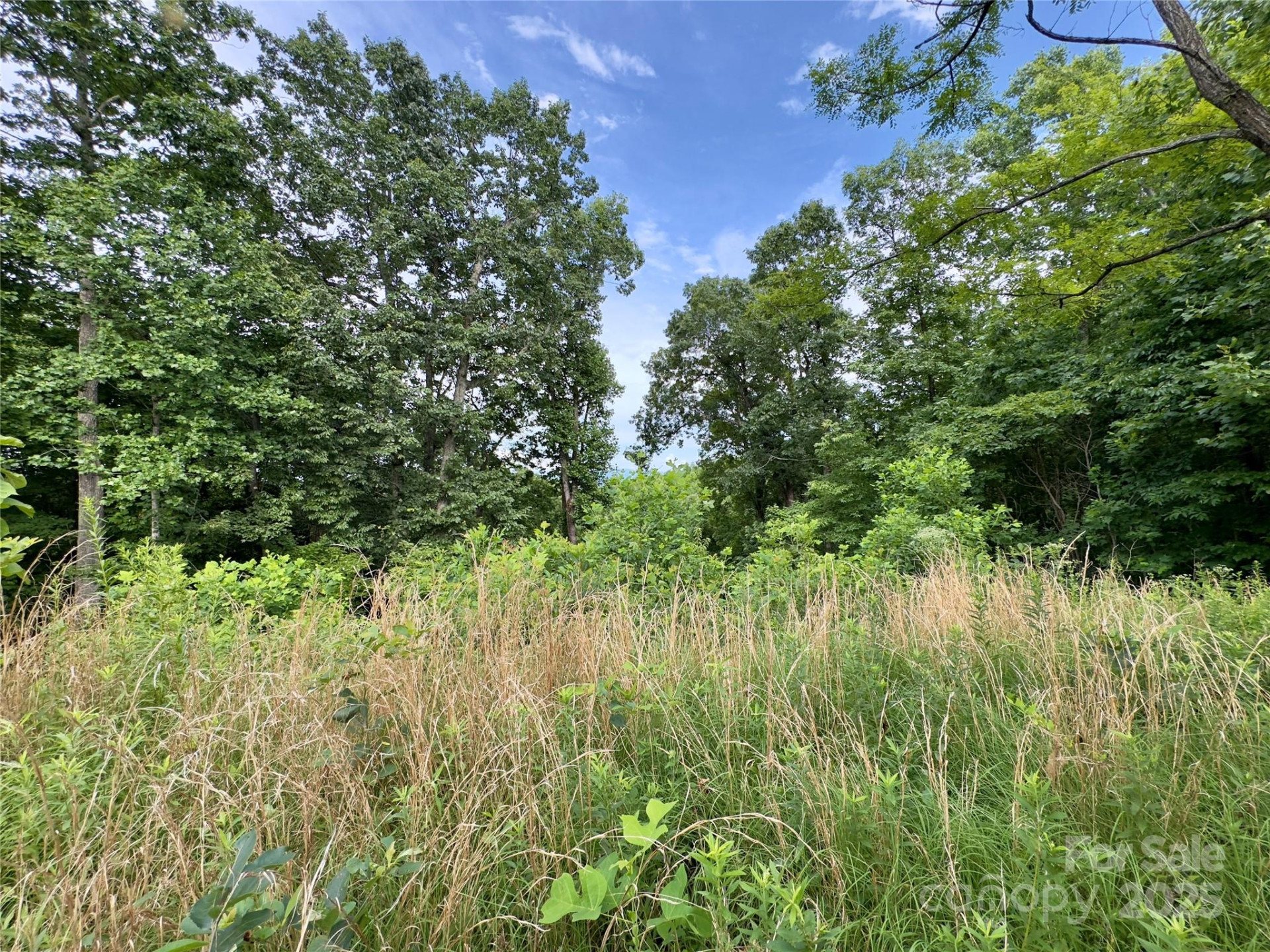 V/L Black Lark Drive #178 - Photo 10