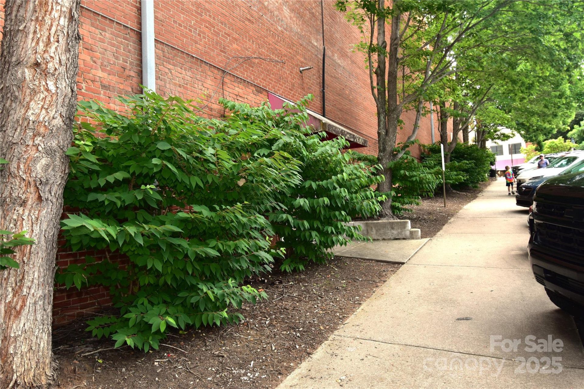 93 Main Street - Photo 5